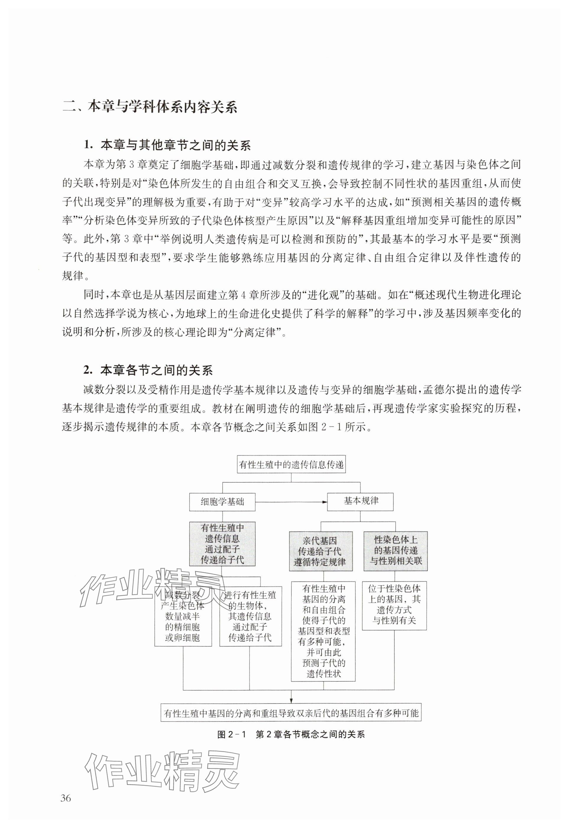 2024年教材課本高中生物必修2滬教版 參考答案第36頁(yè)