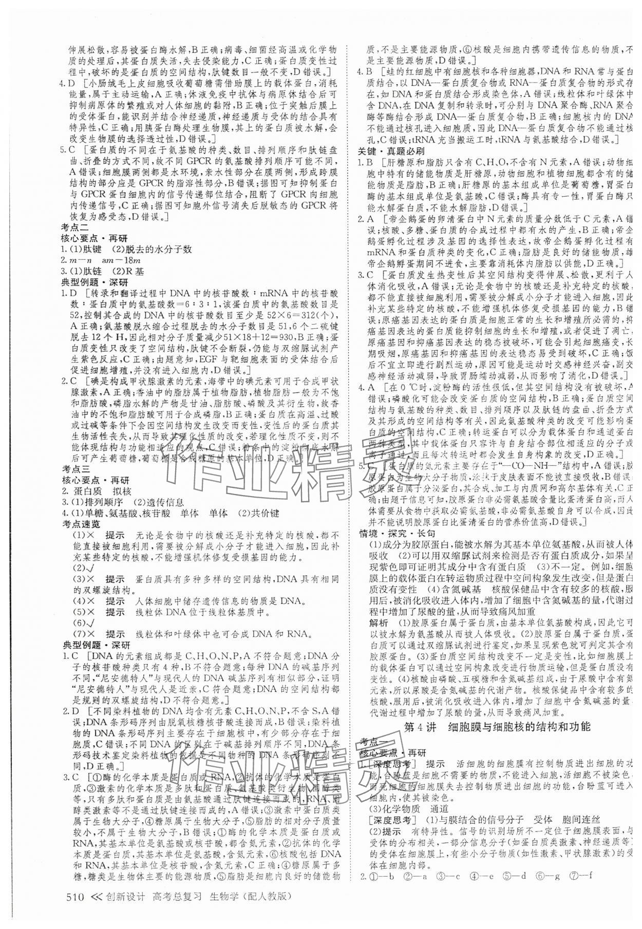 2025年創新設計高考總復習高中生物 參考答案第4頁