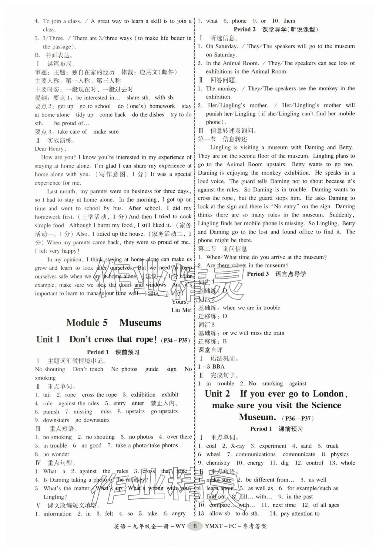 2025年分層導(dǎo)學(xué)案九年級(jí)英語全一冊(cè)外研版&nbsp;第8頁