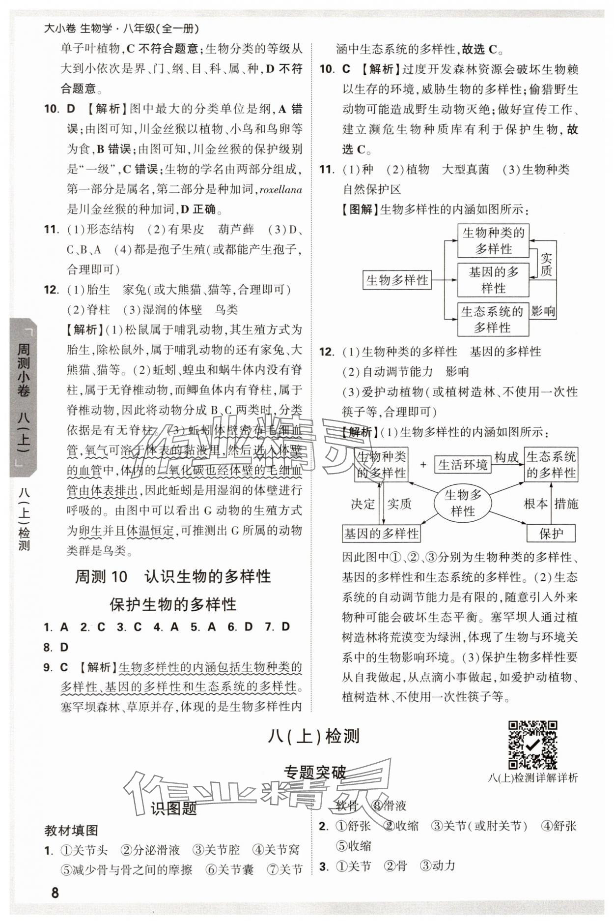2024年萬唯中考大小卷生物中考 參考答案第8頁