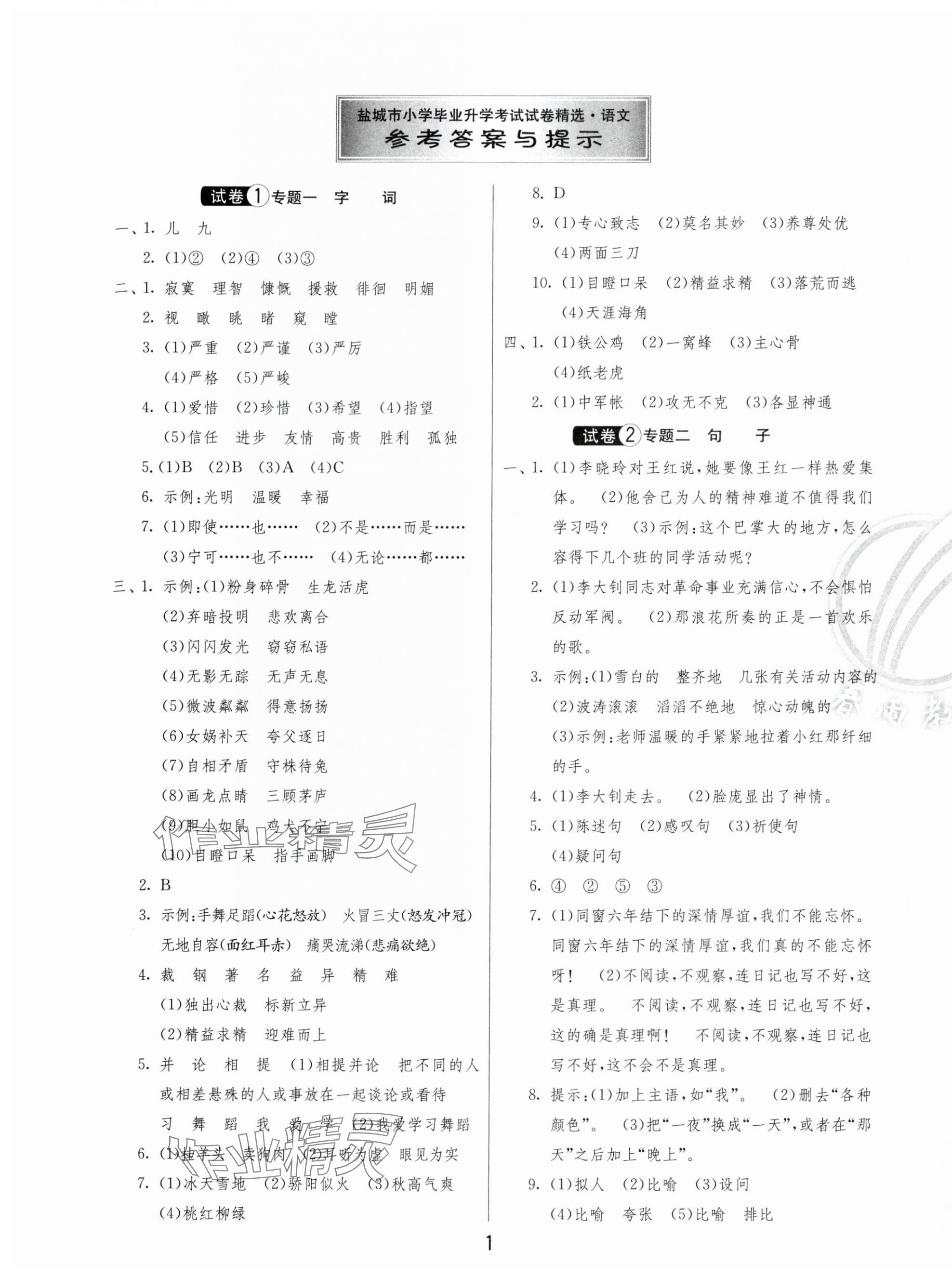 2024年考必胜盐城市小学毕业升学考试试卷精选语文 第1页