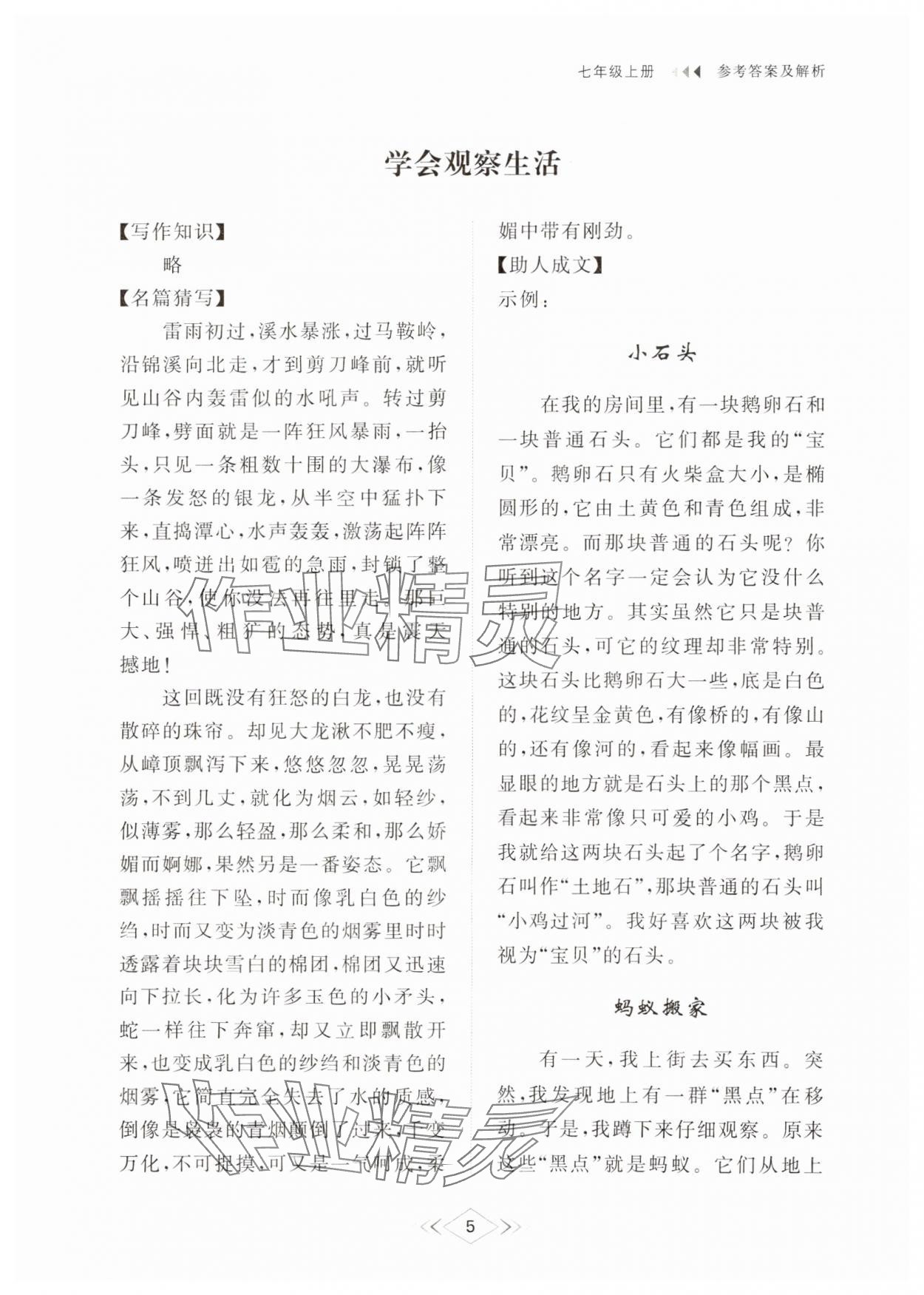 2024年綜合能力訓(xùn)練七年級(jí)語(yǔ)文上冊(cè)人教版54制 參考答案第5頁(yè)