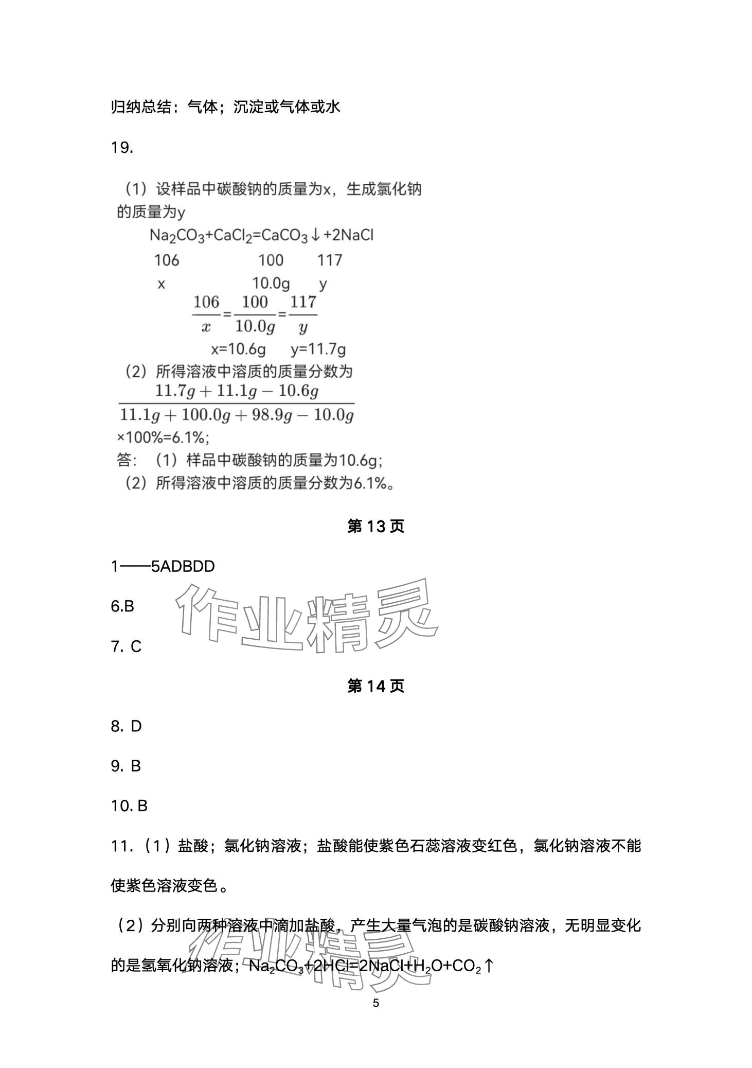 2024年同步練習冊配套檢測卷九年級化學(xué)下冊魯教版煙臺專版五四制 第5頁