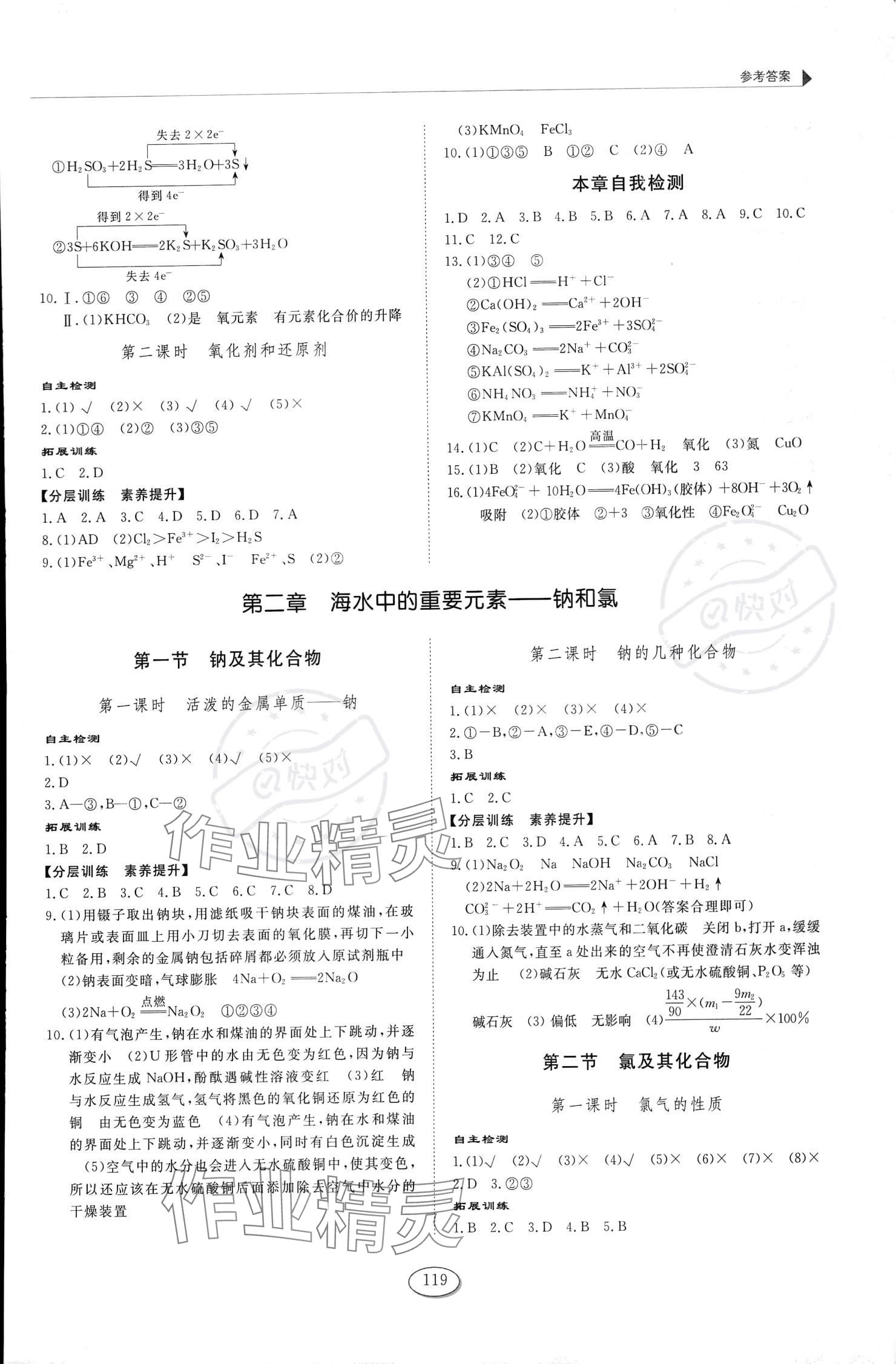 2023年同步練習冊山東科學技術出版社高中化學必修第一冊人教版 參考答案第2頁