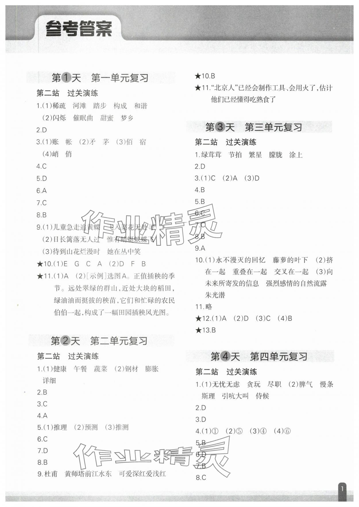 2025年核心素养天天练语文期末分项复习21天四年级下册人教版 参考答案第1页