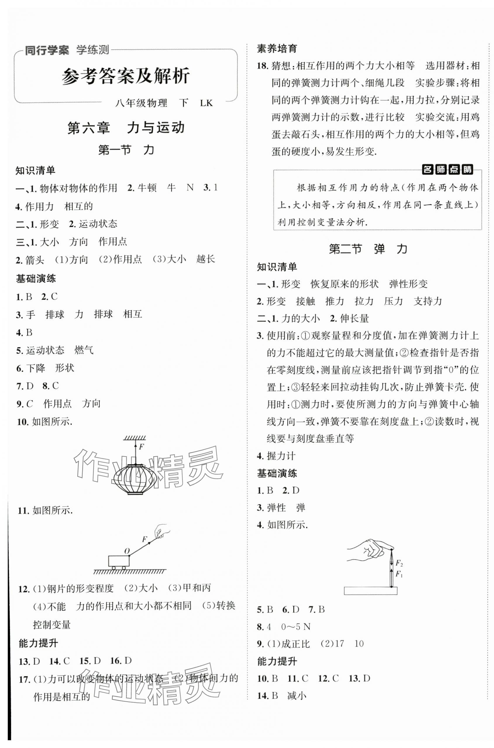 2025年同行學(xué)案八年級(jí)物理下冊(cè)魯科版 參考答案第1頁