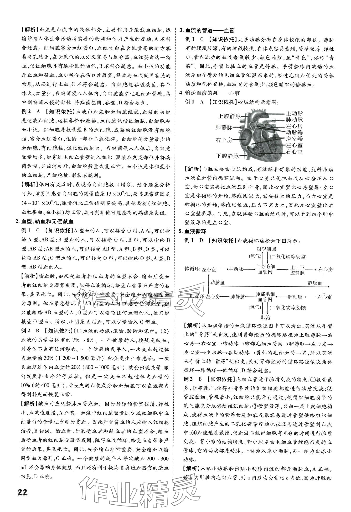 2024年一步名校中考总复习生物&nbsp;第22页