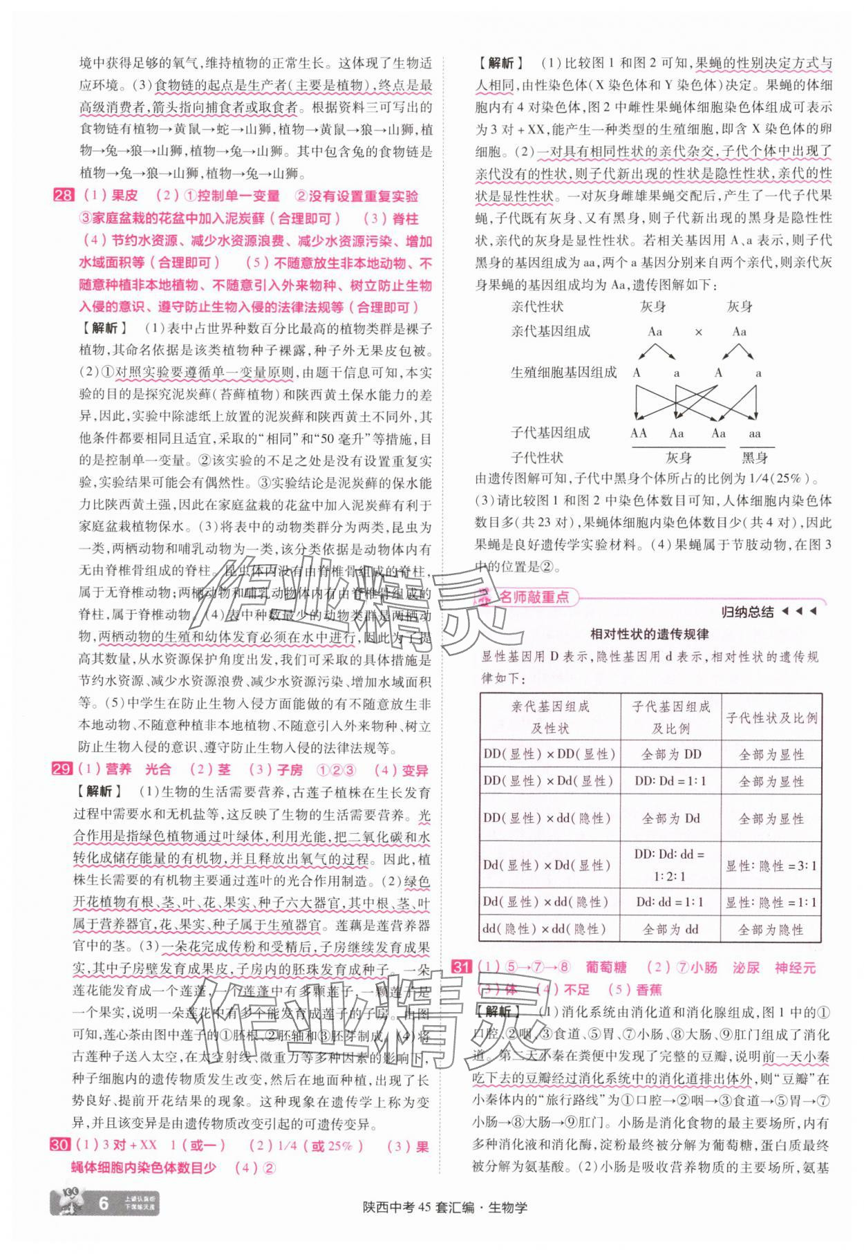 2025年金考卷45套匯編生物中考人教版陜西專版 參考答案第6頁(yè)