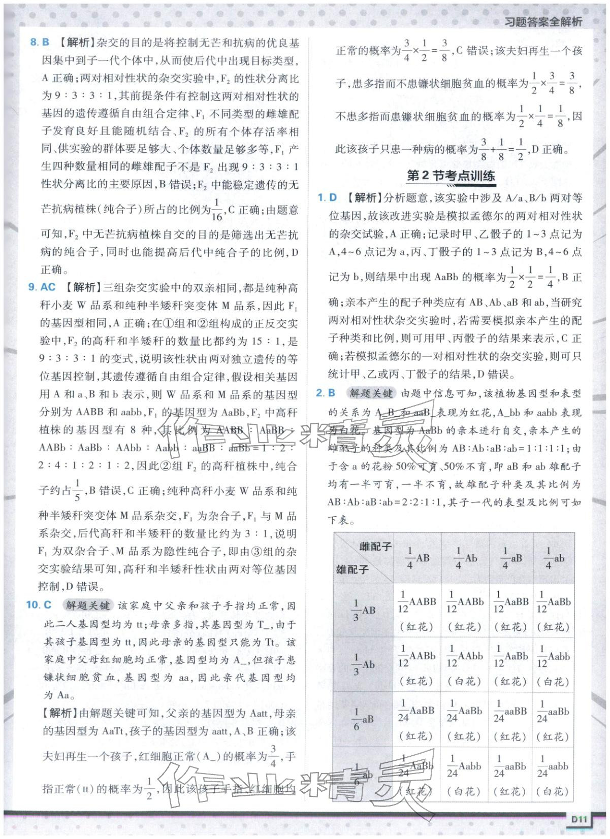 2025年上分攻略高中生物必修第二冊(cè)人教版&nbsp;第11頁(yè)