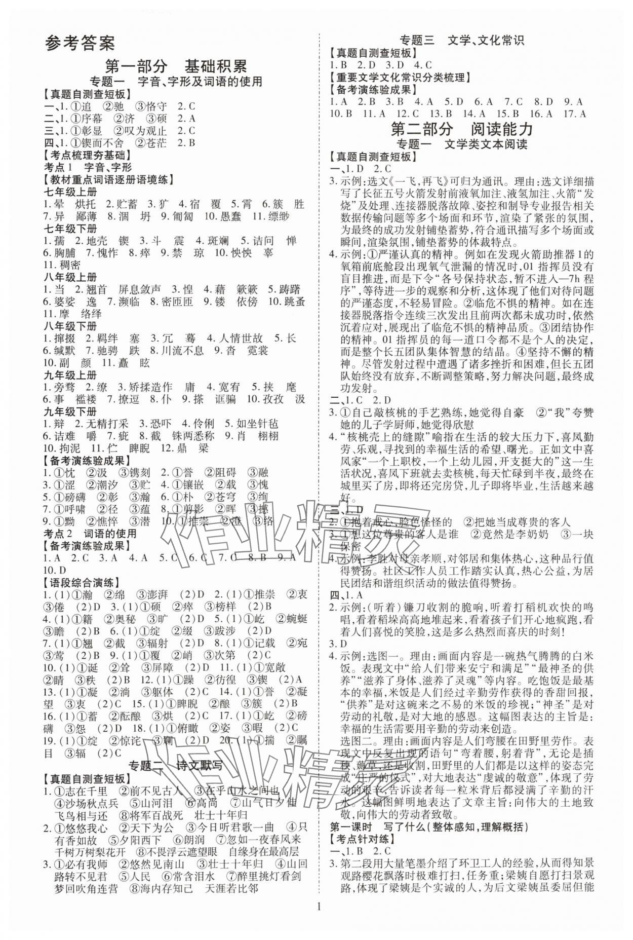 2025年中考必備云南美術出版社語文中考貴州專版 參考答案第1頁