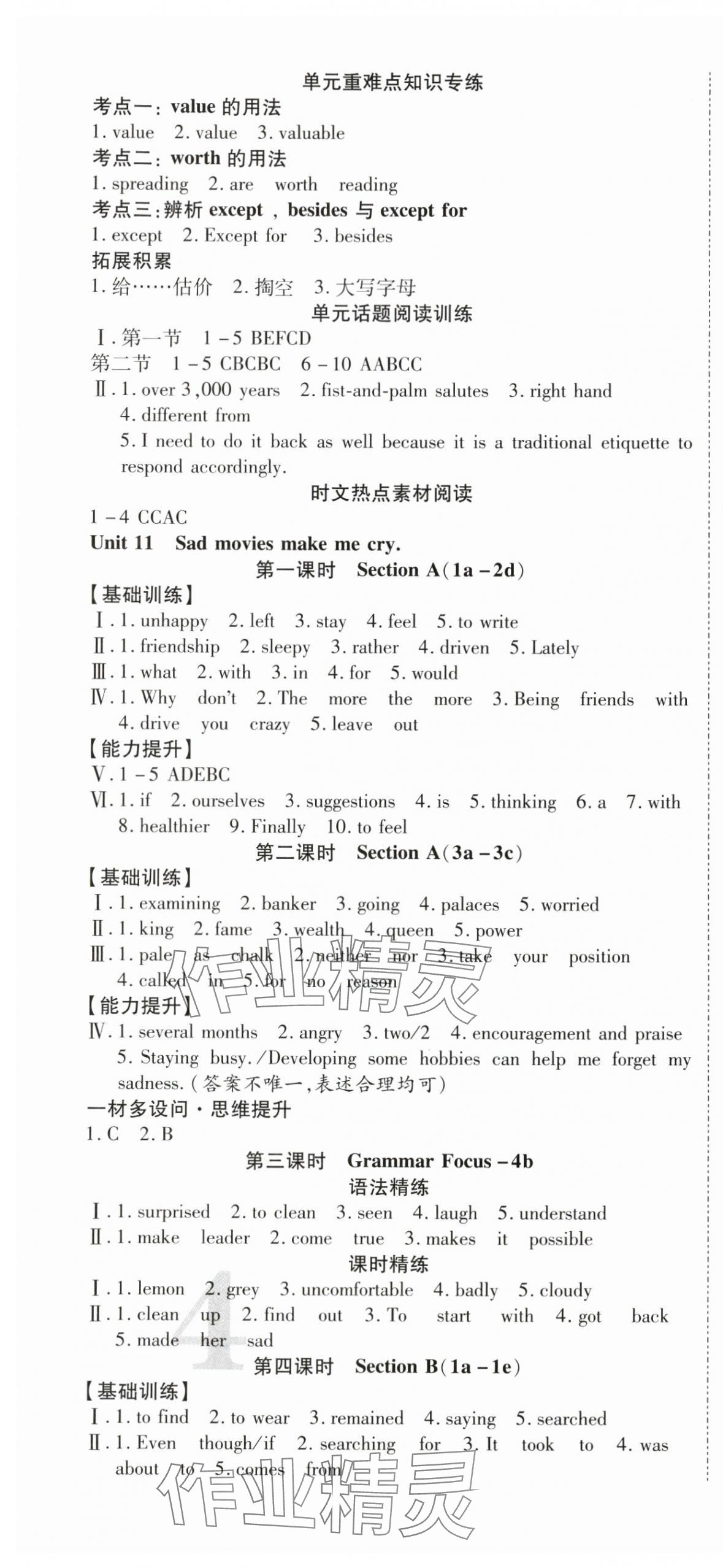 2025年暢行課堂九年級英語全一冊人教版貴州專版 第16頁