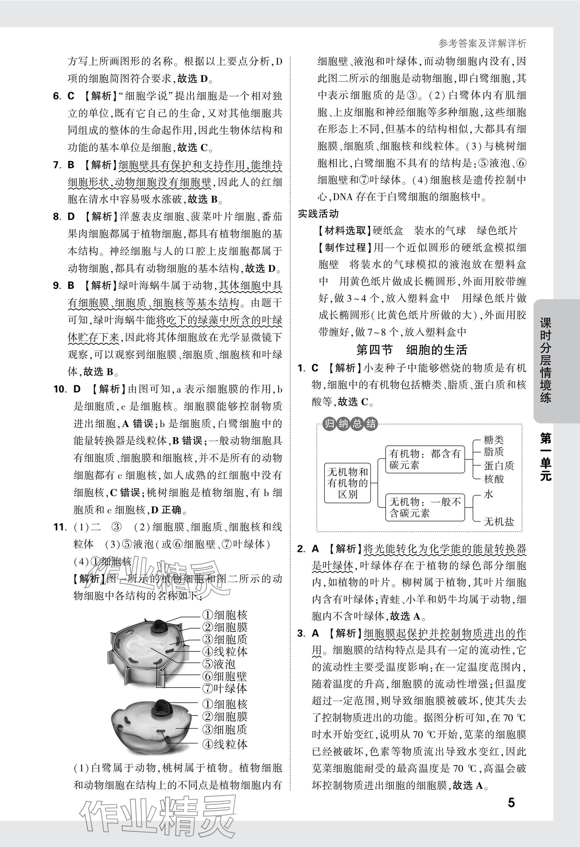 2025版萬唯中考情境題七年級生物上冊人教版 參考答案第5頁