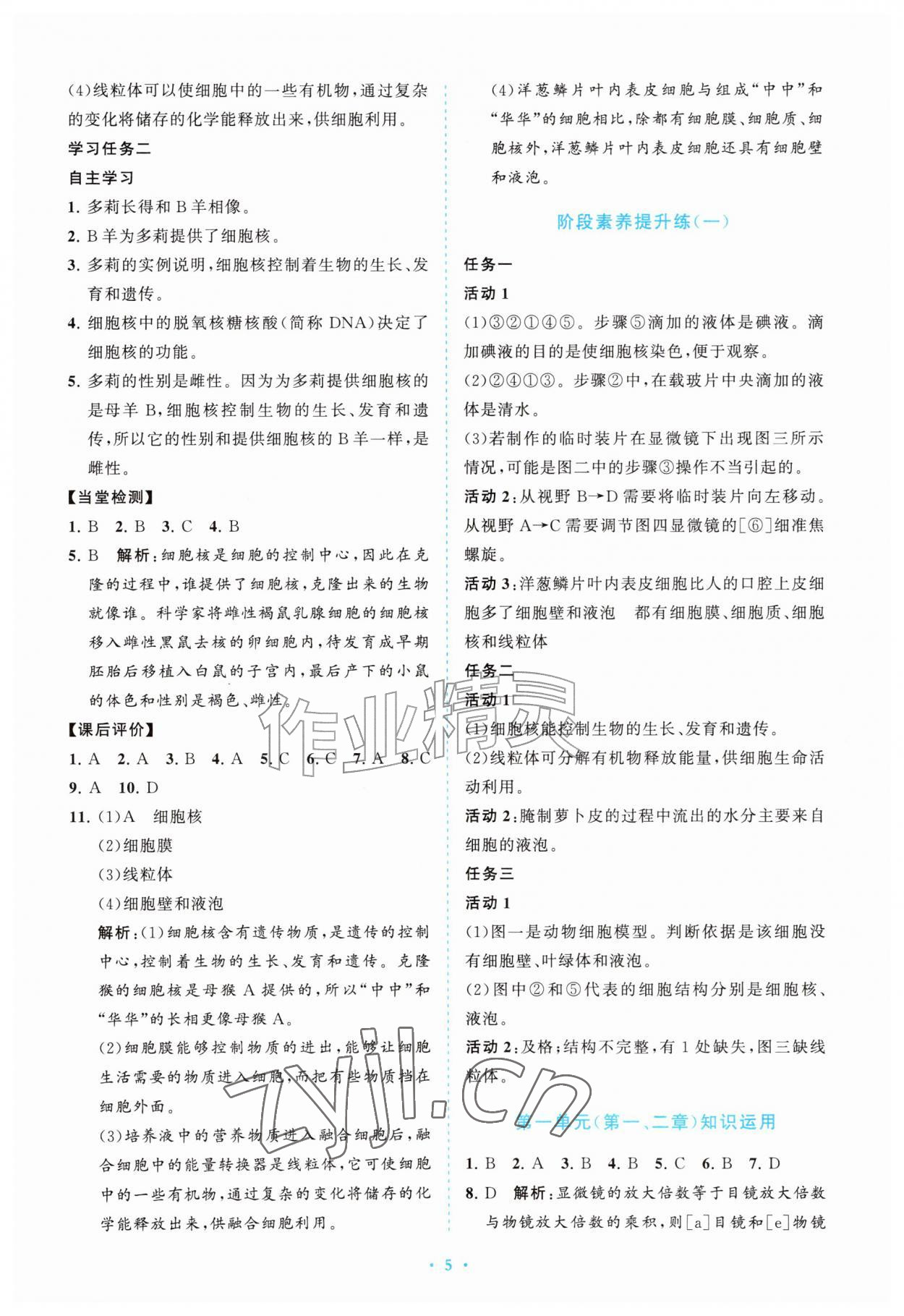 2026年配套综合练习甘肃七年级生物上册人教版&nbsp;第5页