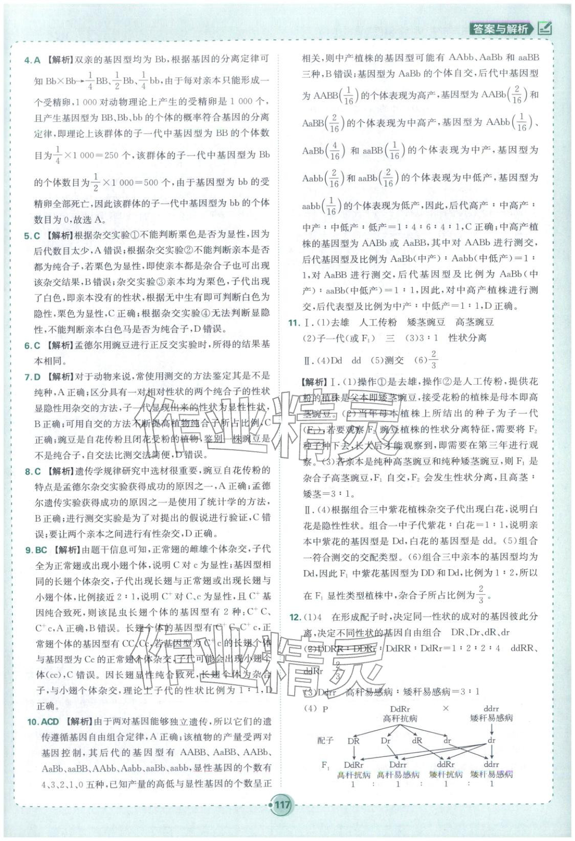 2026年热搜题高中生物必修第二册人教版 第11页