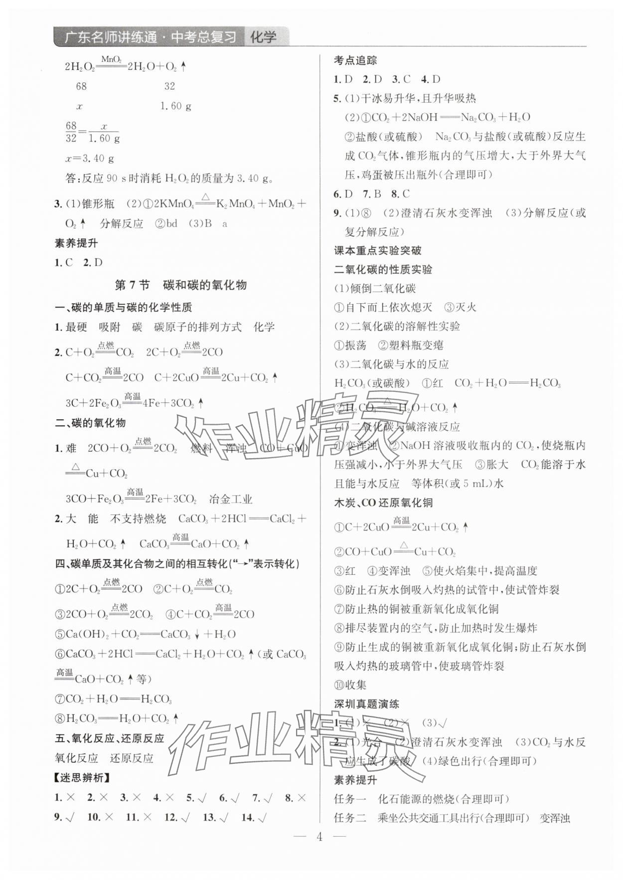 2025年廣東名師講練通中考總復習化學深圳專版 第4頁