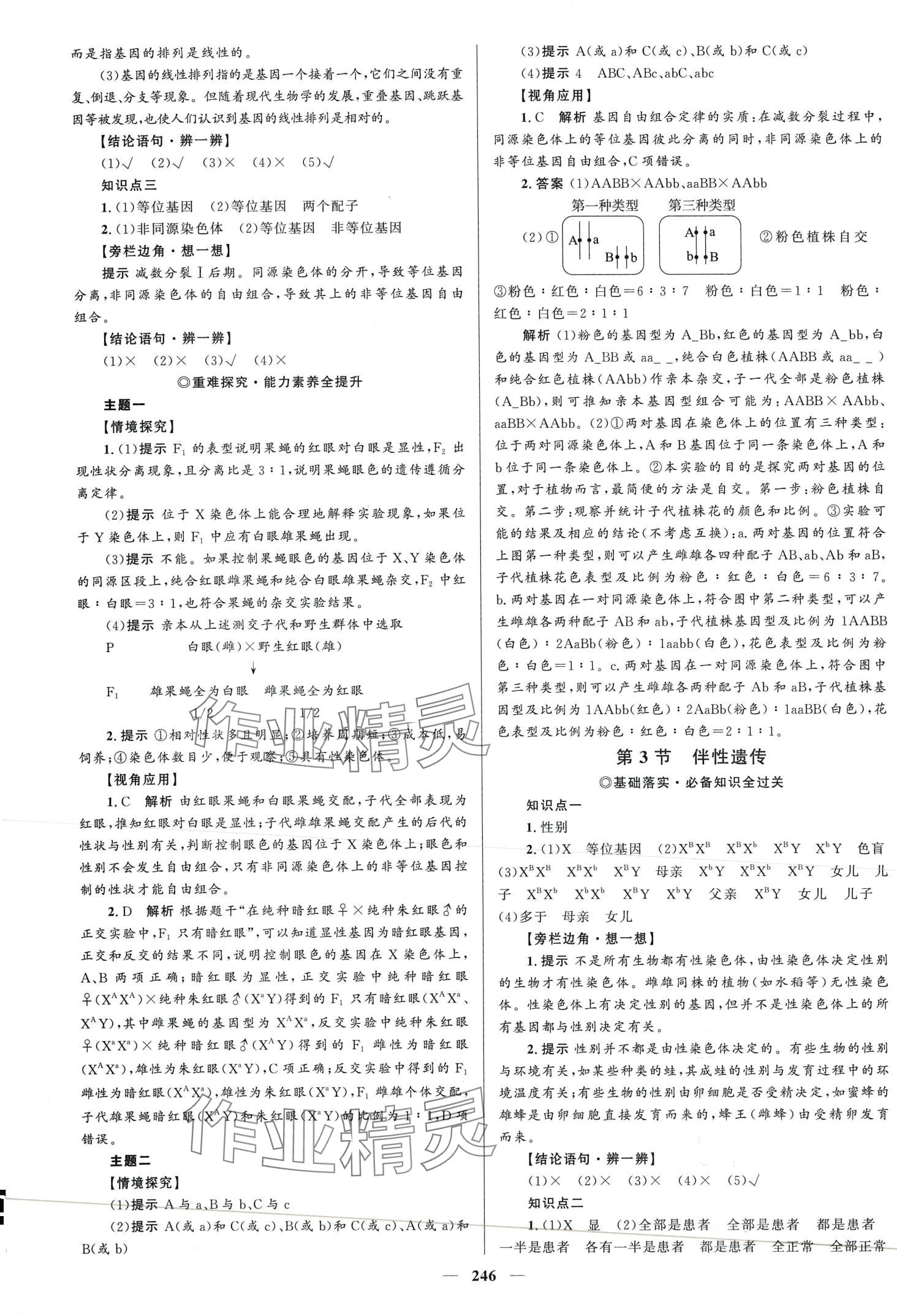 2024年高中同步學(xué)案優(yōu)化設(shè)計高中生物必修2人教版 第9頁