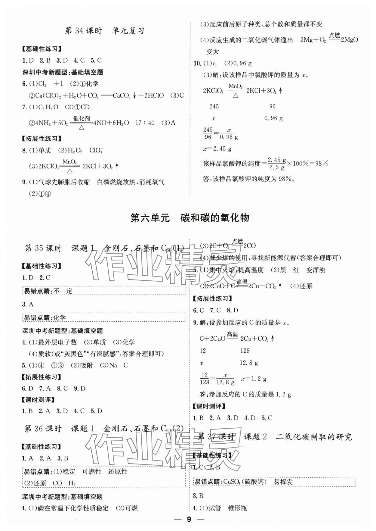 2023年考點專練九年級化學全一冊人教版深圳專版 第9頁