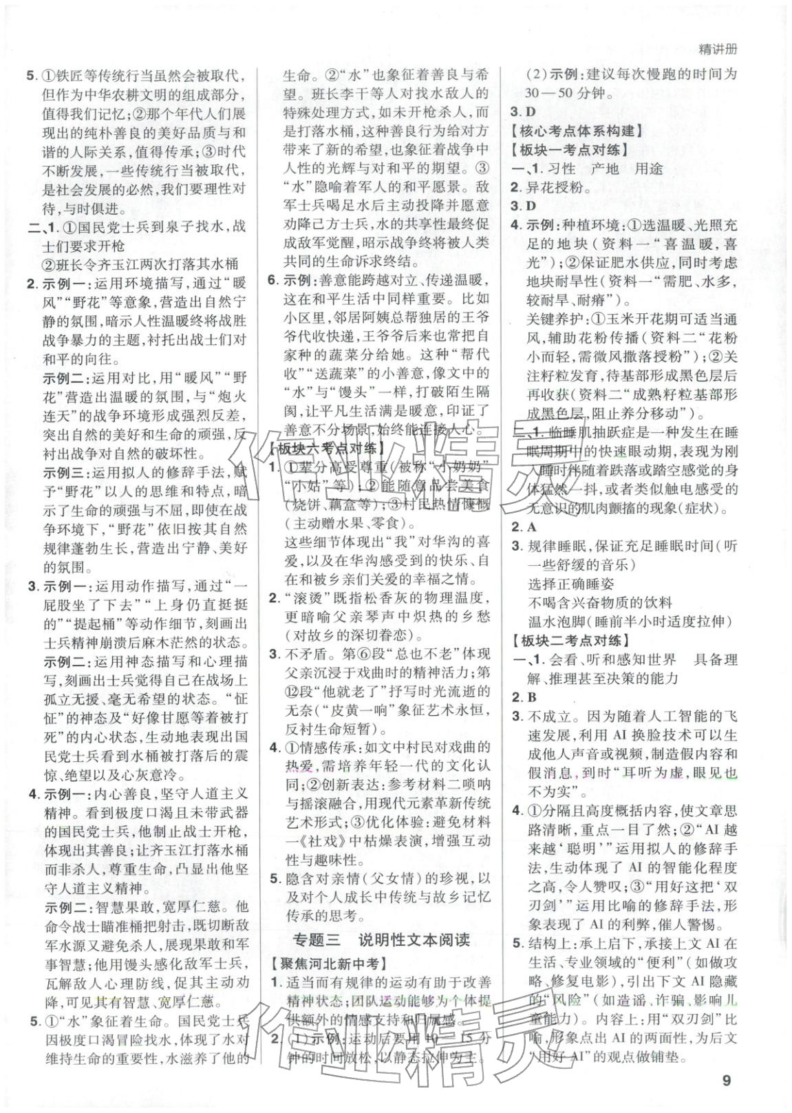 2026年考出好成績語文河北專版&nbsp;第8頁