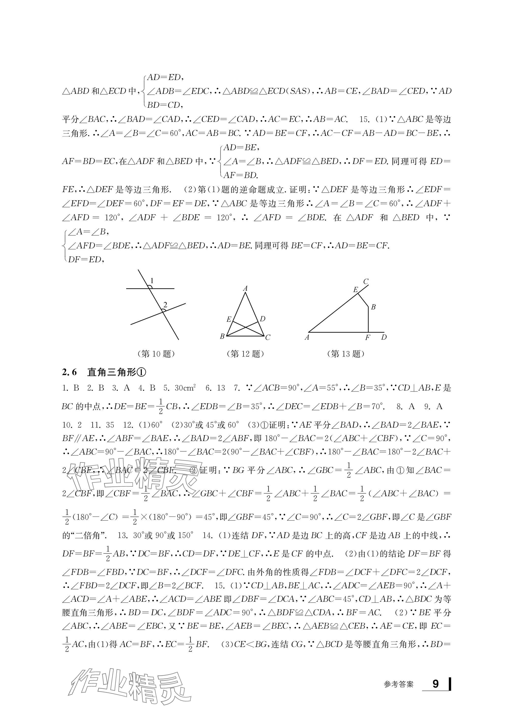 2024年新課標學(xué)習(xí)方法指導(dǎo)叢書八年級數(shù)學(xué)上冊浙教版 參考答案第9頁