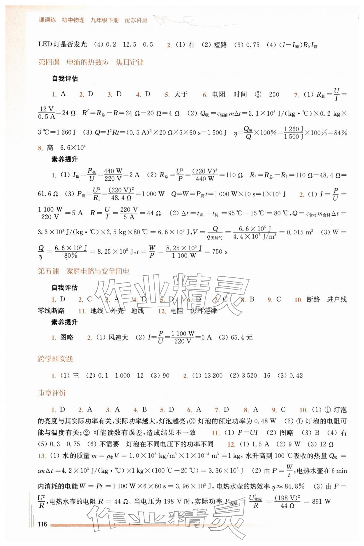 2026年课课练江苏九年级物理下册苏科版 第2页