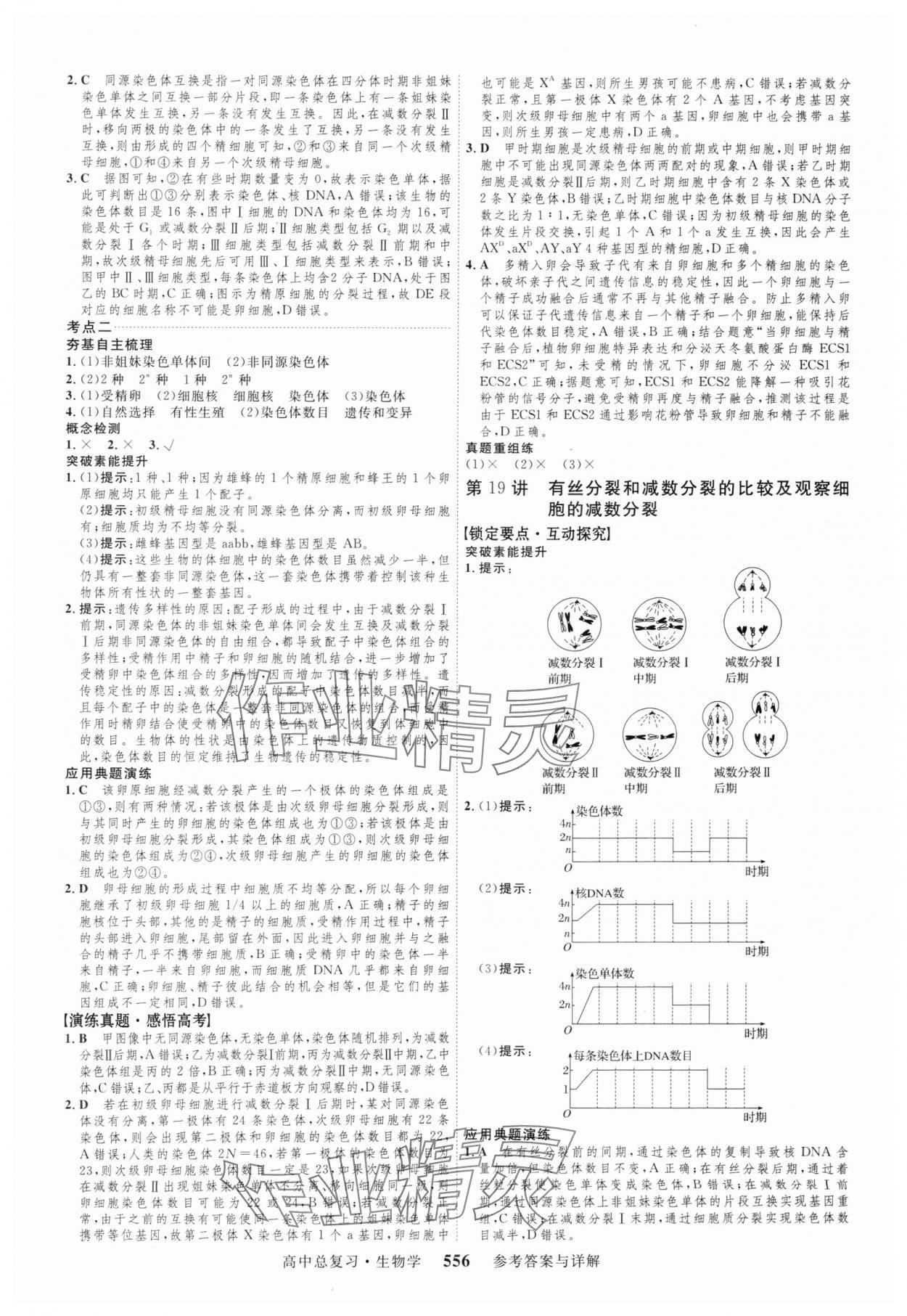 2024年三维设计生物 参考答案第20页