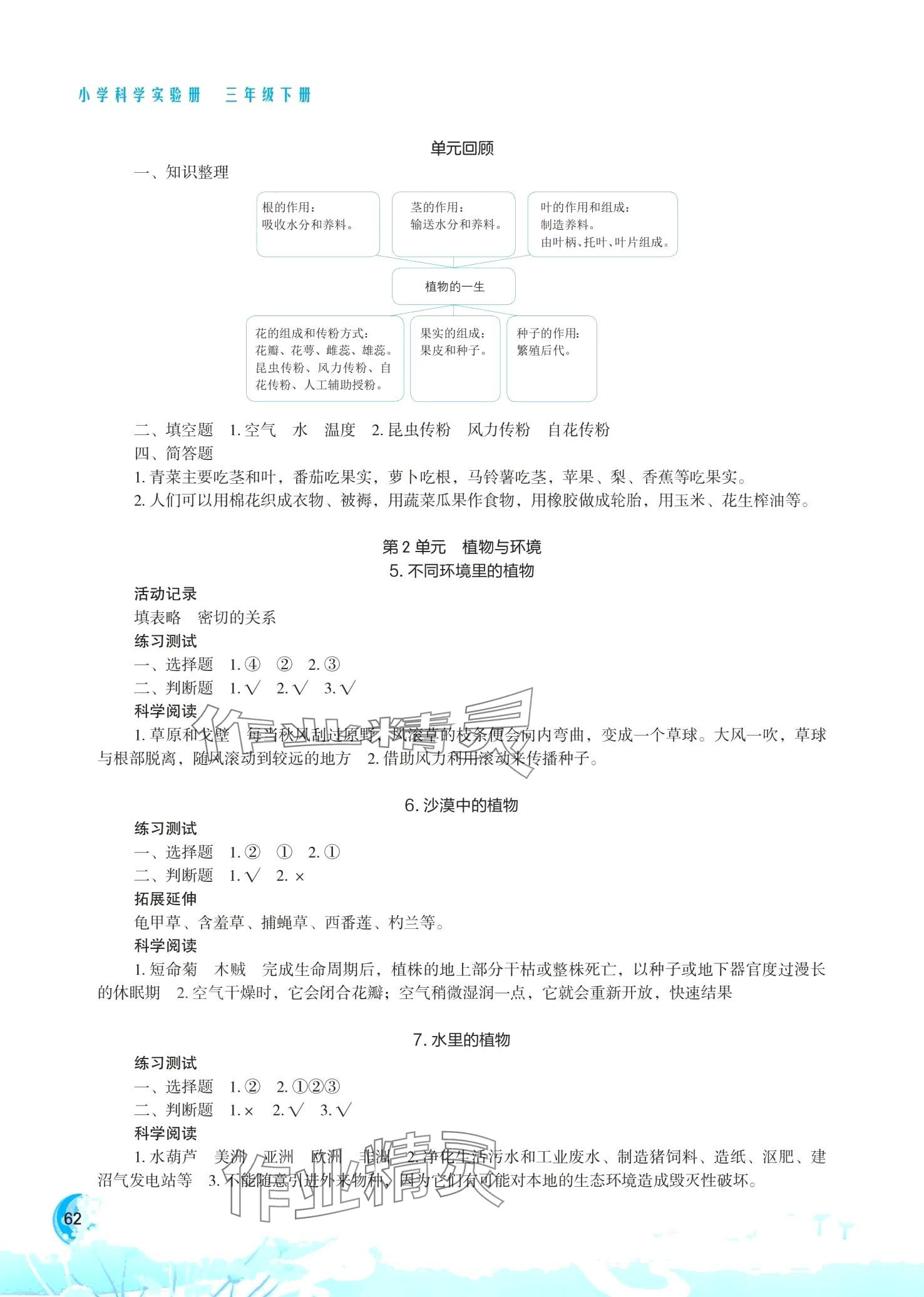 2024年小学科学实验册三年级下册苏教版双色版 第2页