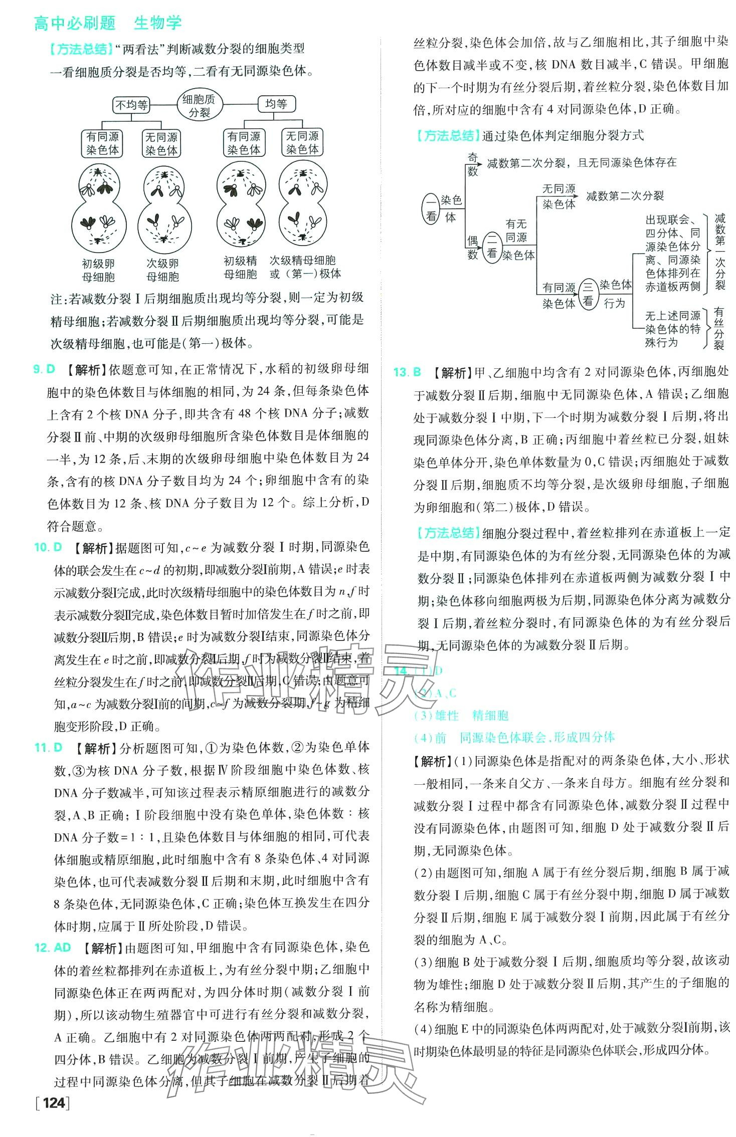 2024年高中必刷題高中生物必修2人教版 第19頁