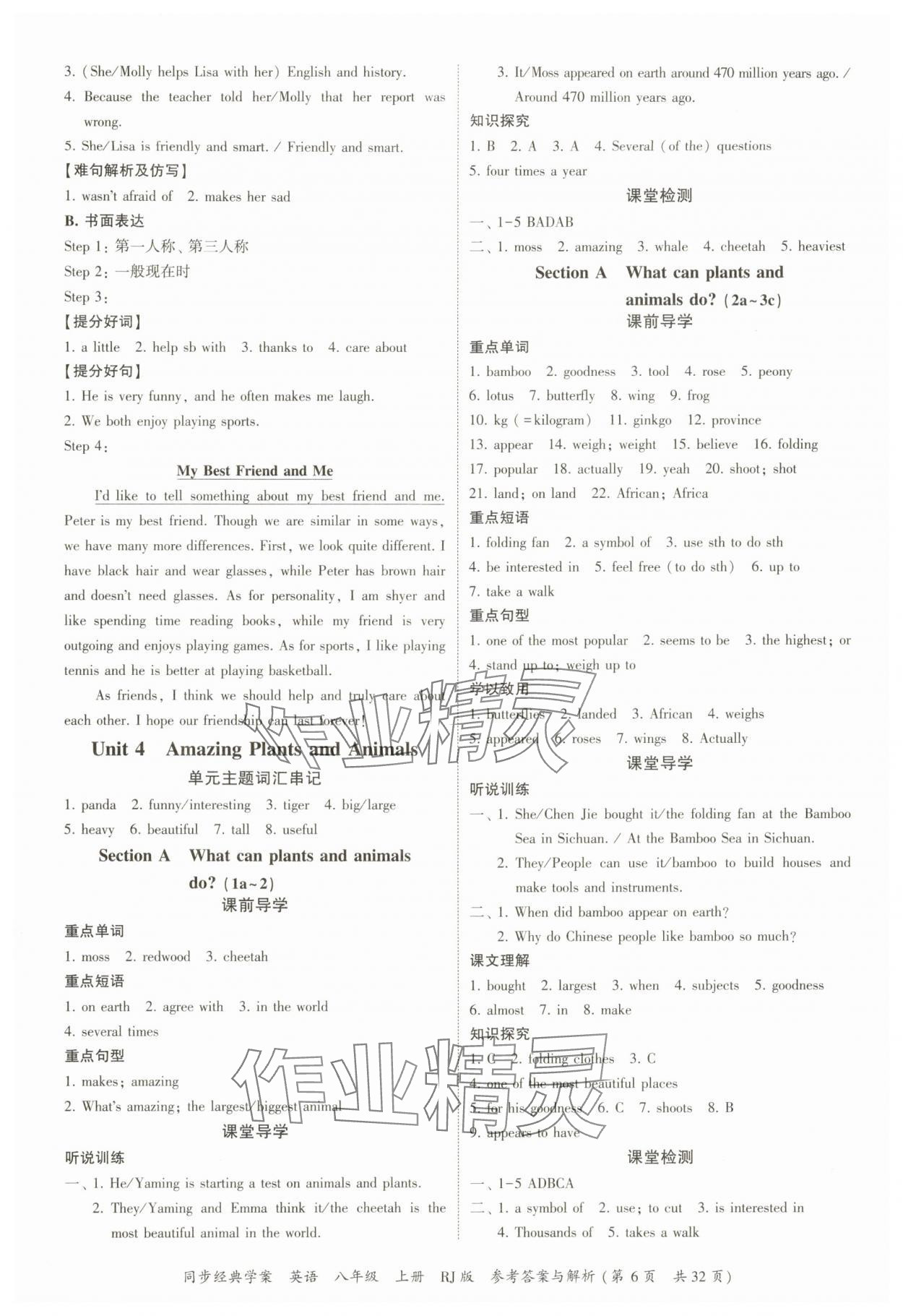 2025年同步經典學案八年級英語上冊人教版 第6頁