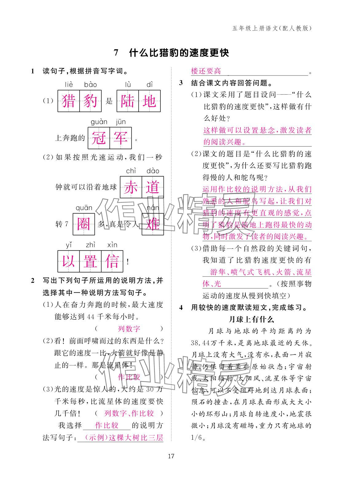 2025年作业本江西教育出版社五年级语文上册人教版 参考答案第17页