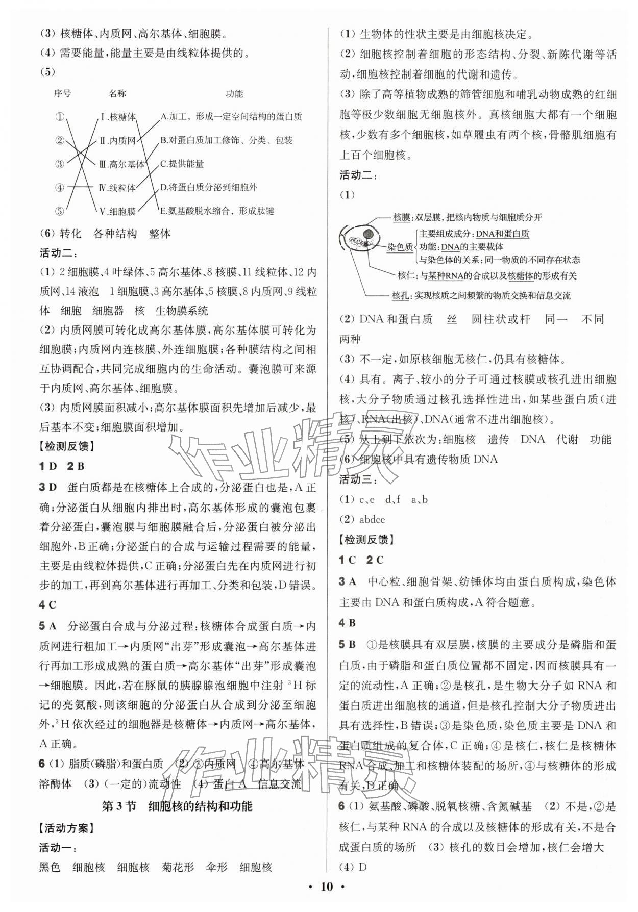 2025年活動(dòng)單導(dǎo)學(xué)課程高中生物必修1人教版 參考答案第10頁(yè)
