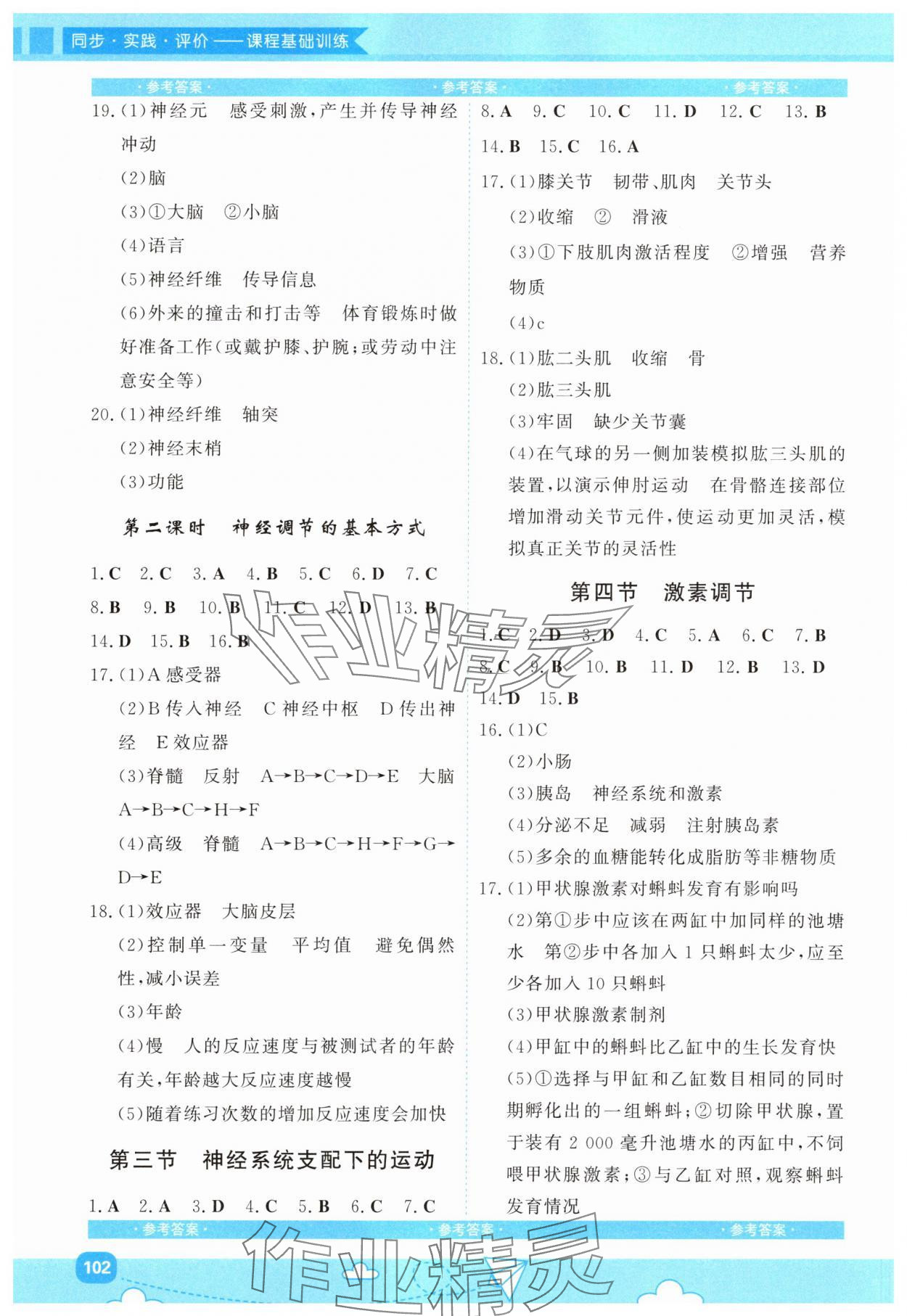 2025年同步实践评价课程基础训练湖南少年儿童出版社八年级生物上册人教版 第2页