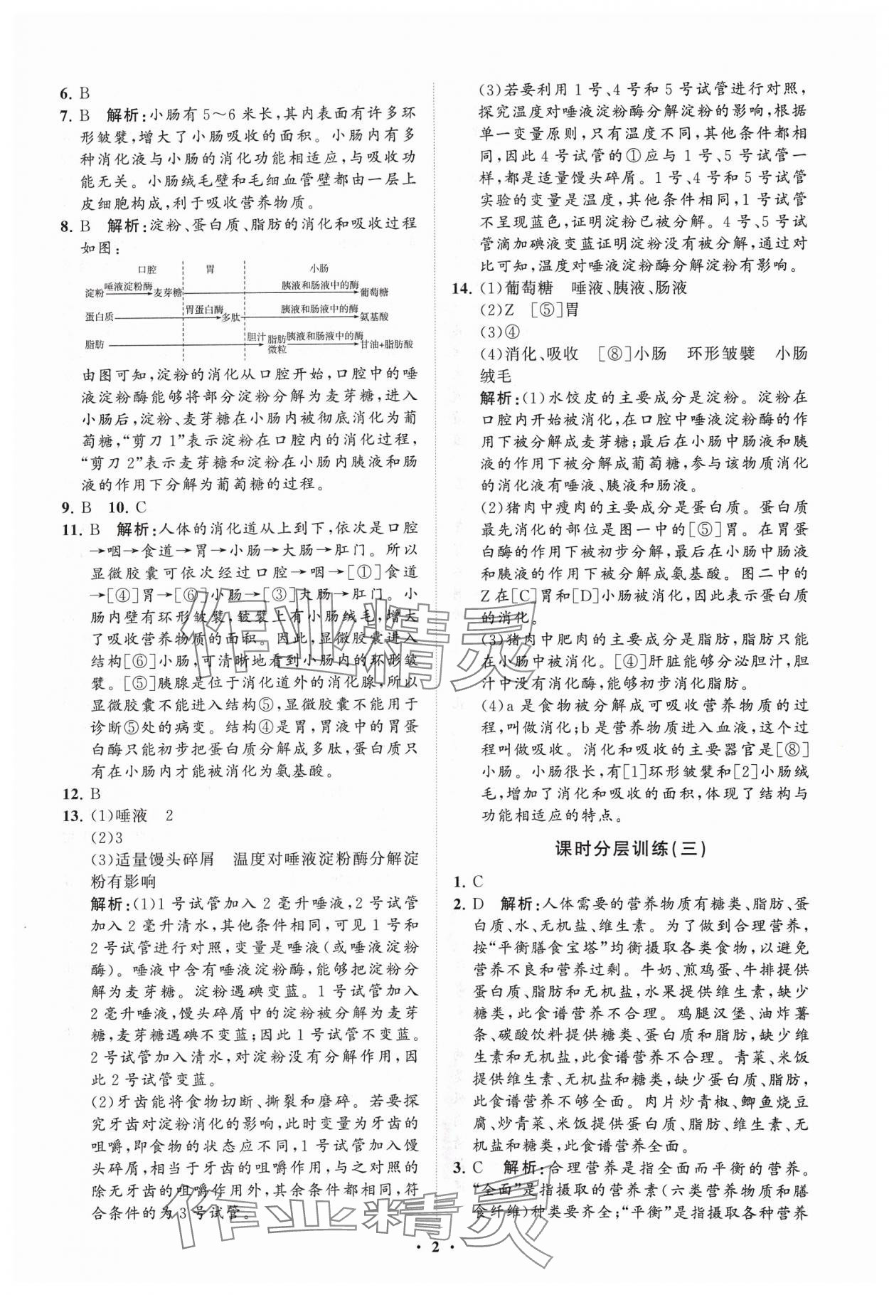 2024年同步練習冊分層卷七年級生物下冊濟南版 參考答案第2頁