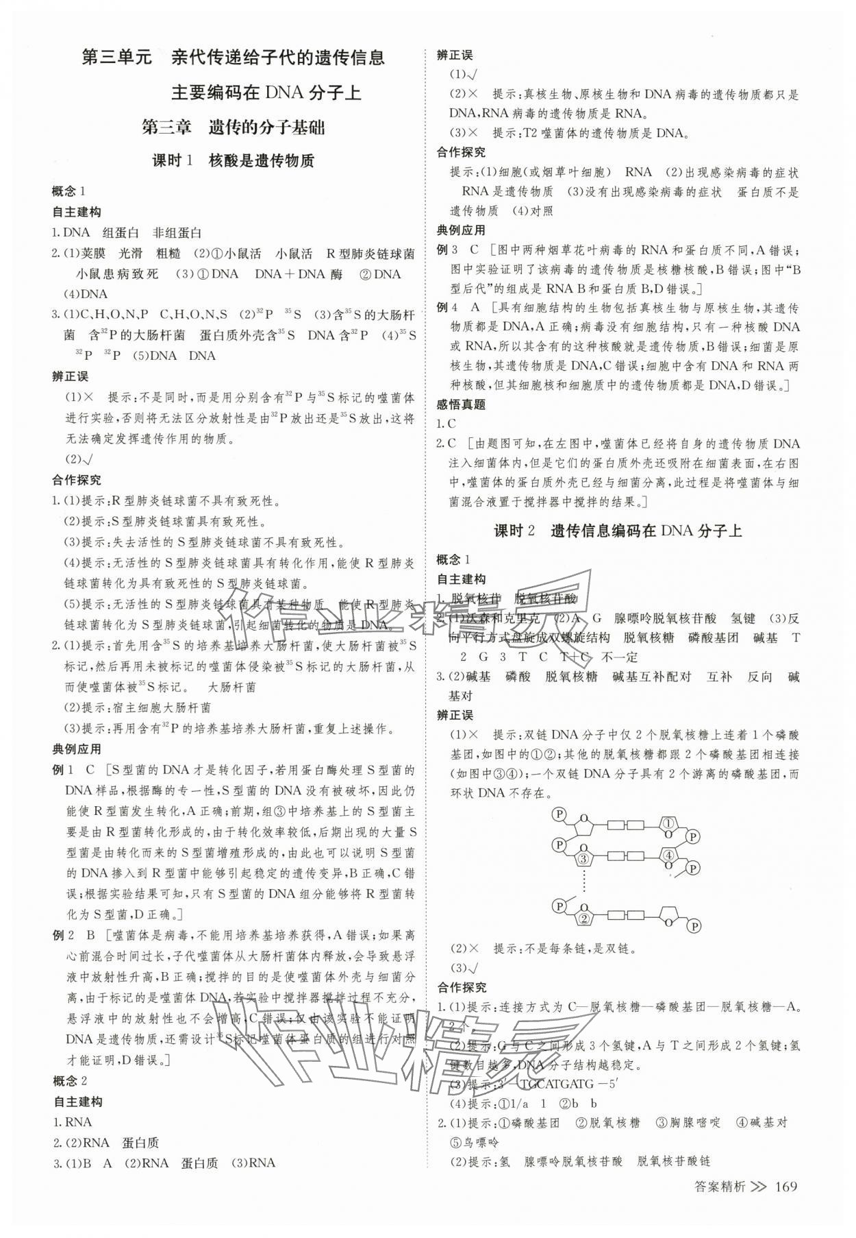 2025年創新設計高中生物必修2浙科版 第12頁