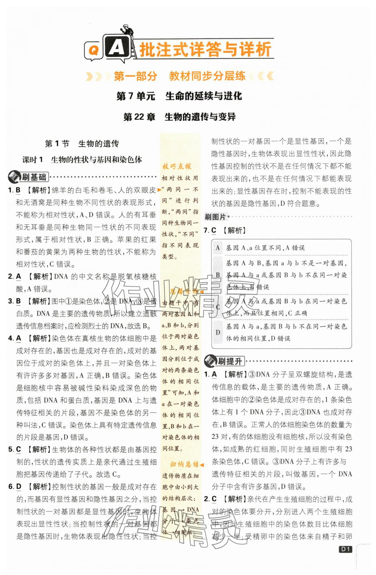 2024年初中必刷题八年级生物下册苏教版 第1页