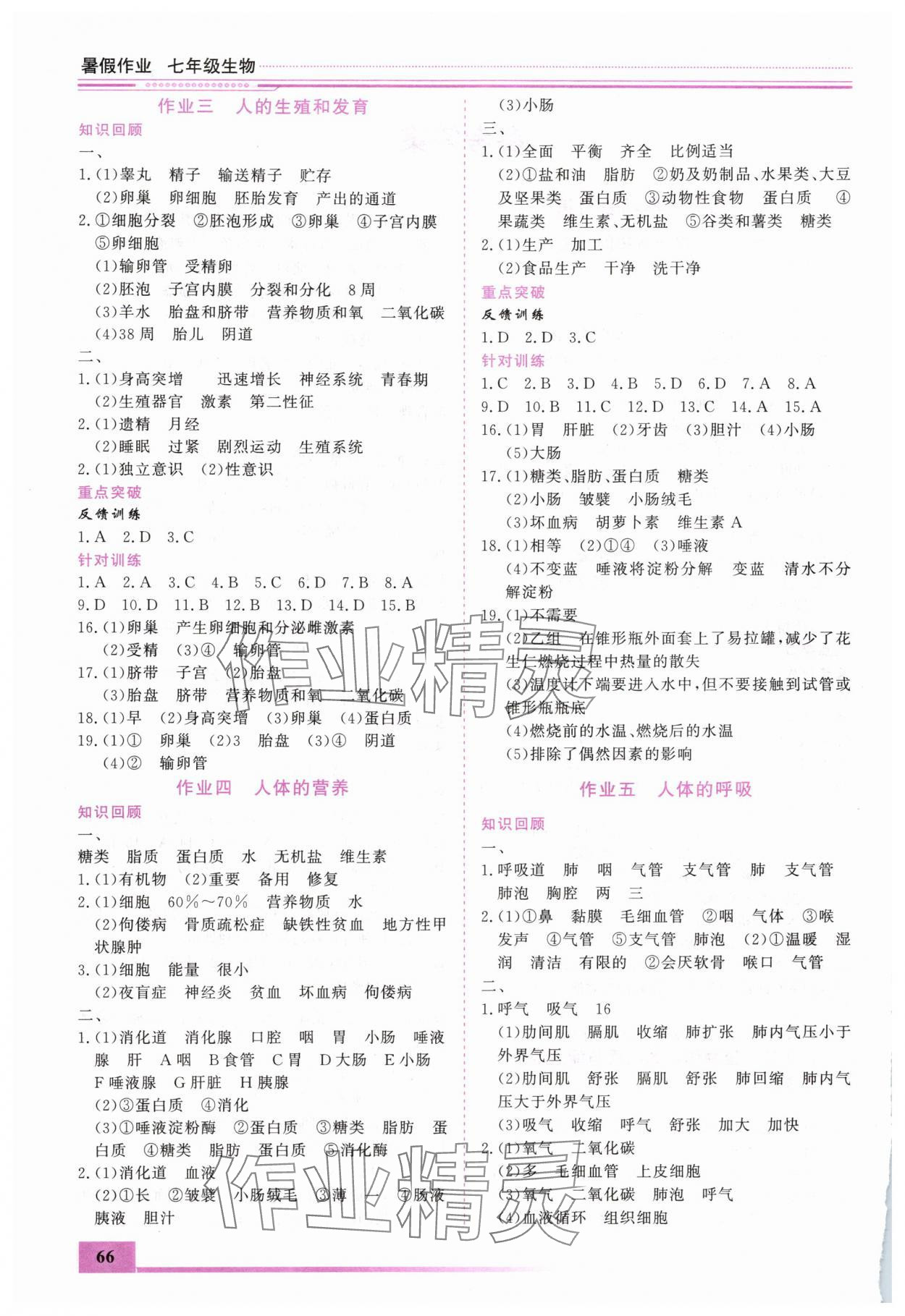 2025年文轩图书假期生活指导暑七年级生物 第2页