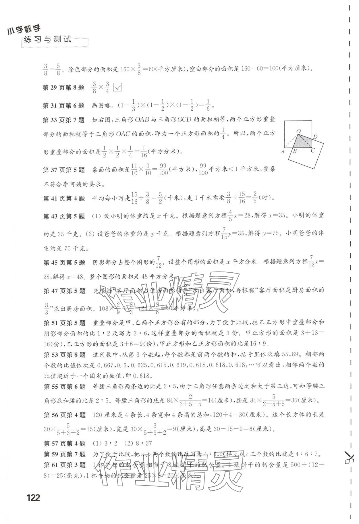 2024年练习与测试六年级数学上册苏教版 第2页