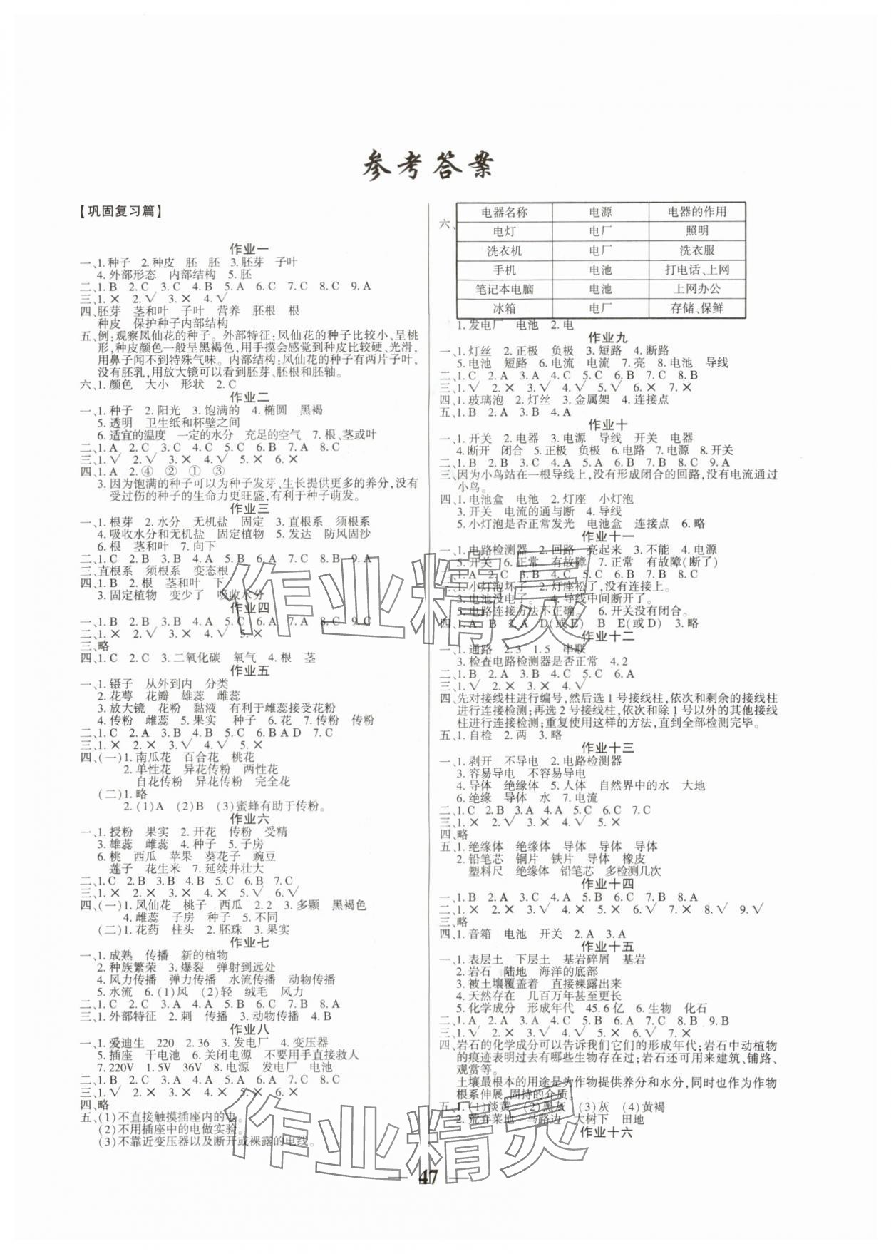 2025年金峰教育假期作業(yè)暑假作業(yè)四年級科學(xué)教科版 第1頁