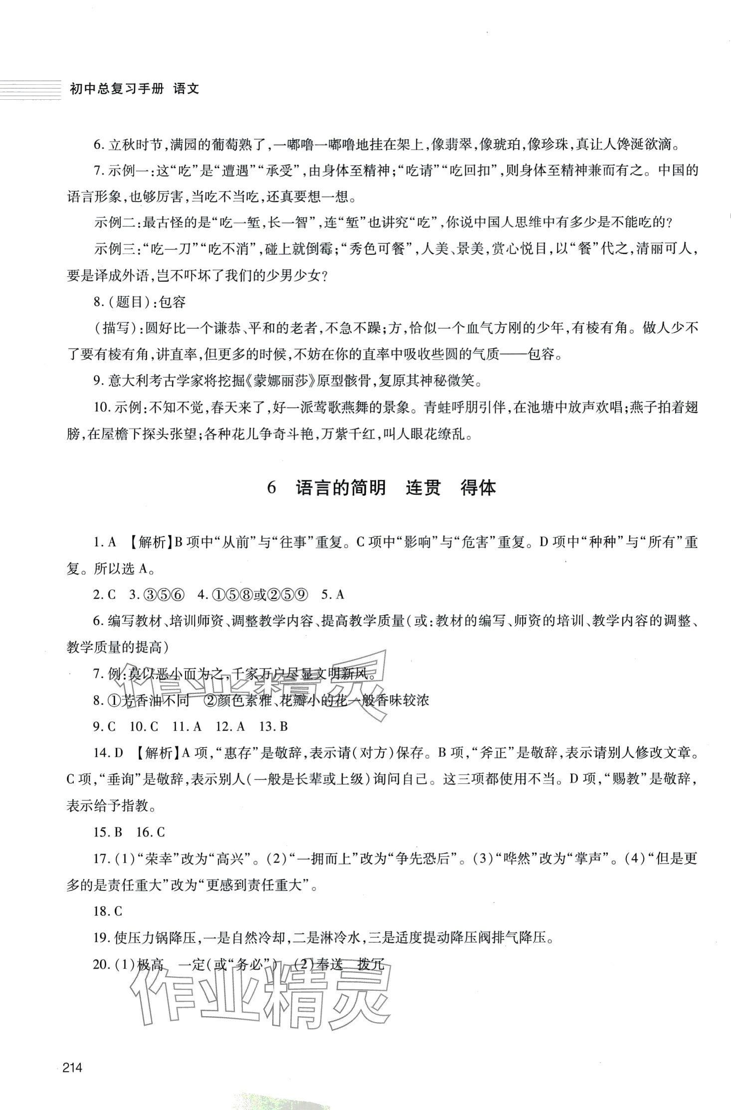 2024年初中总复习手册明天出版社语文人教版五四制 第6页