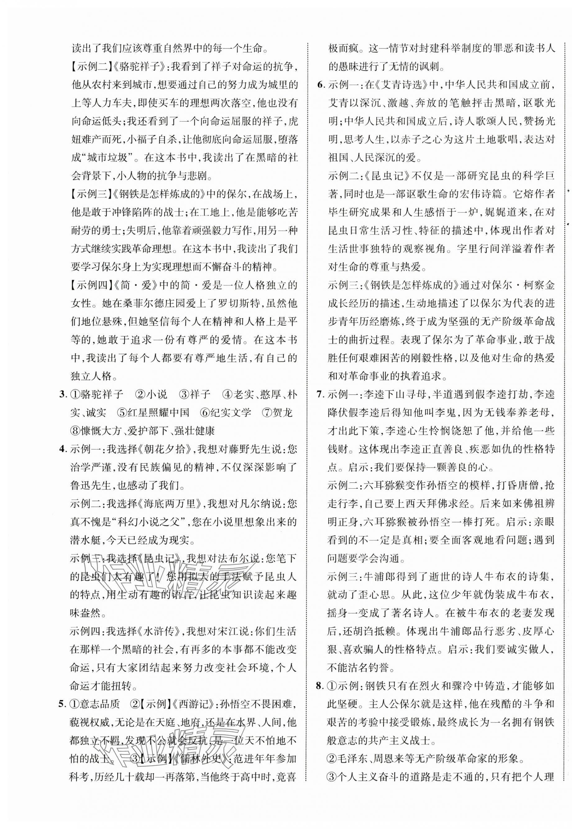 2024年優化指導語文中考廣西專版 第13頁
