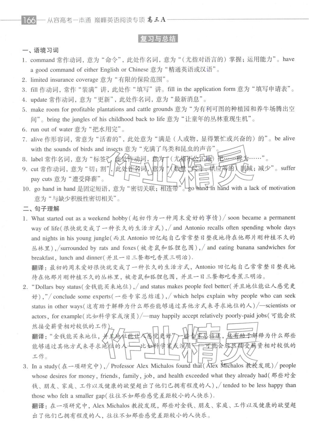 2025年从容高考一本通高三英语&nbsp;第13页