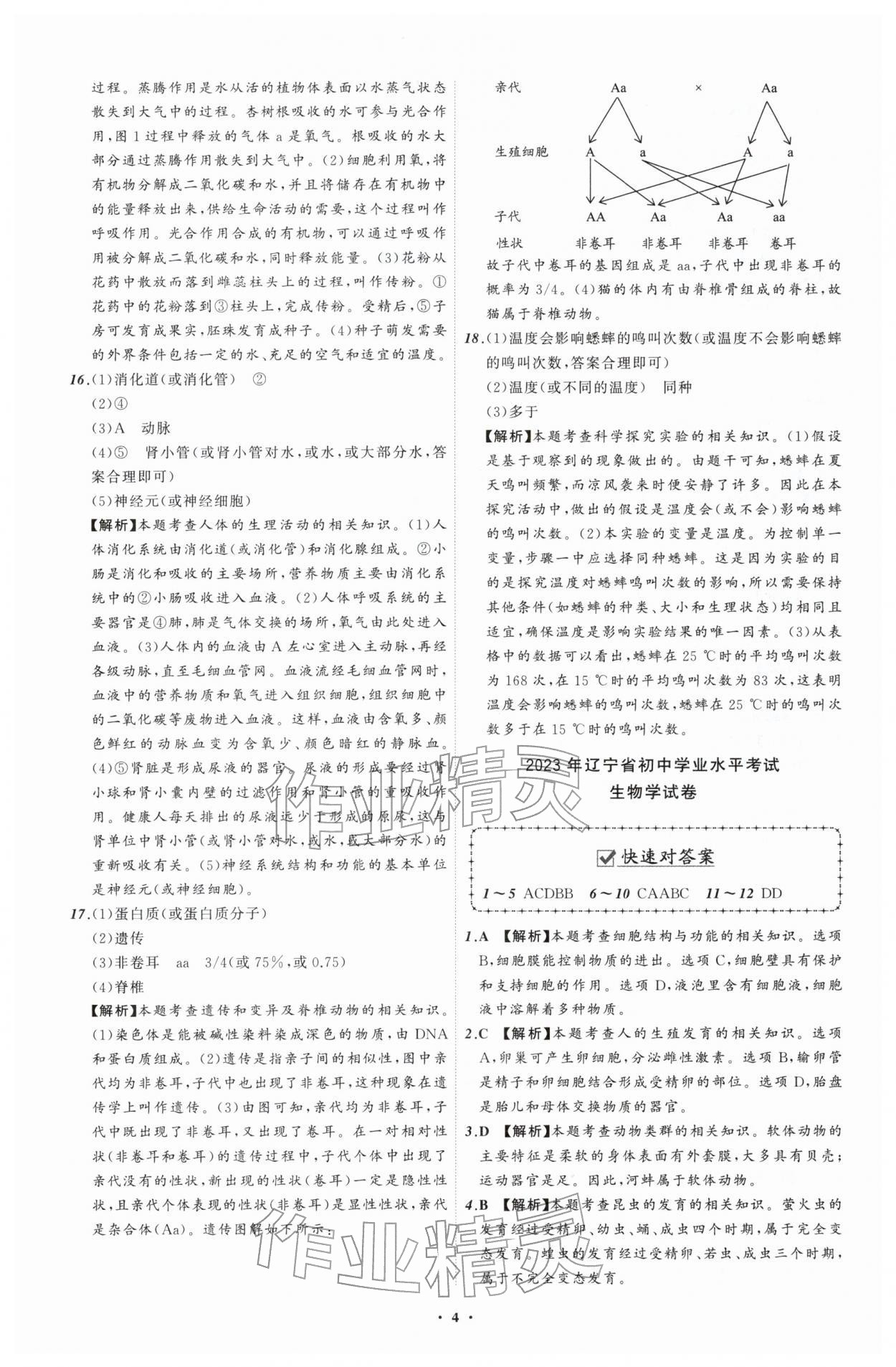 2026年中考必备辽宁师范大学出版社生物辽宁专版&nbsp;参考答案第4页
