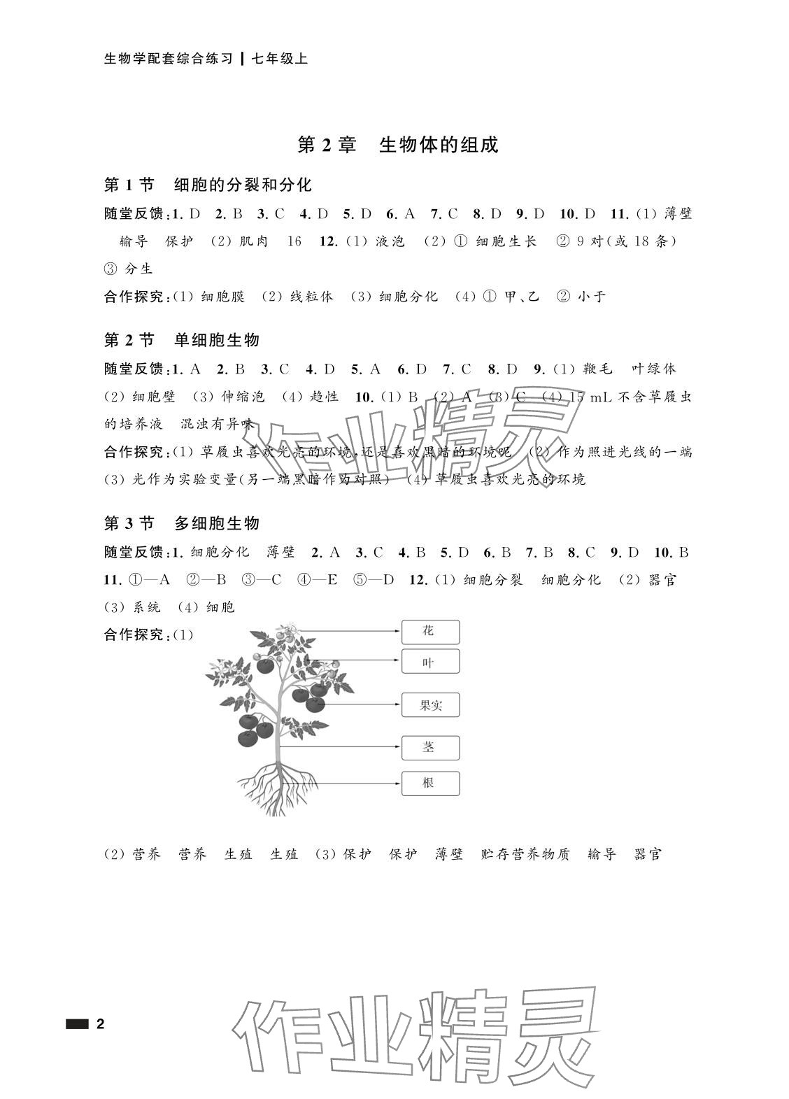 2025年配套综合练习甘肃七年级生物上册苏教版 参考答案第2页