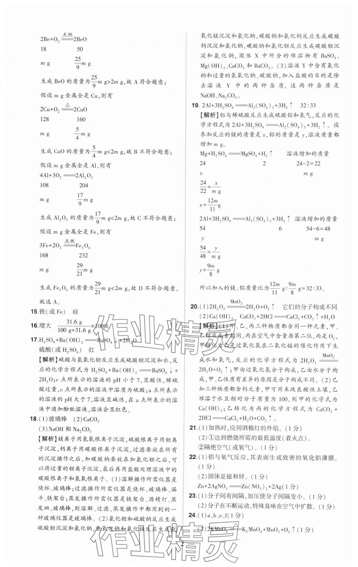 2025年优学教育试题精编化学 第2页