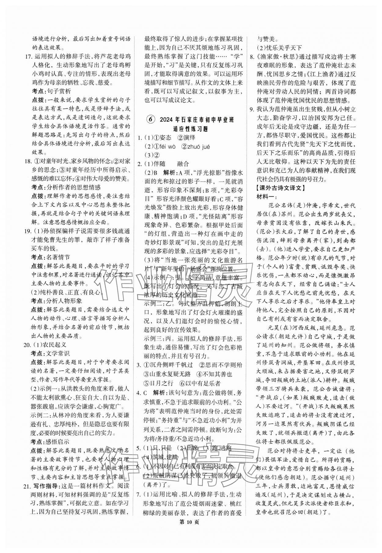 2025年全優(yōu)中考全國(guó)中考試題精選精析語文河北專用 第10頁