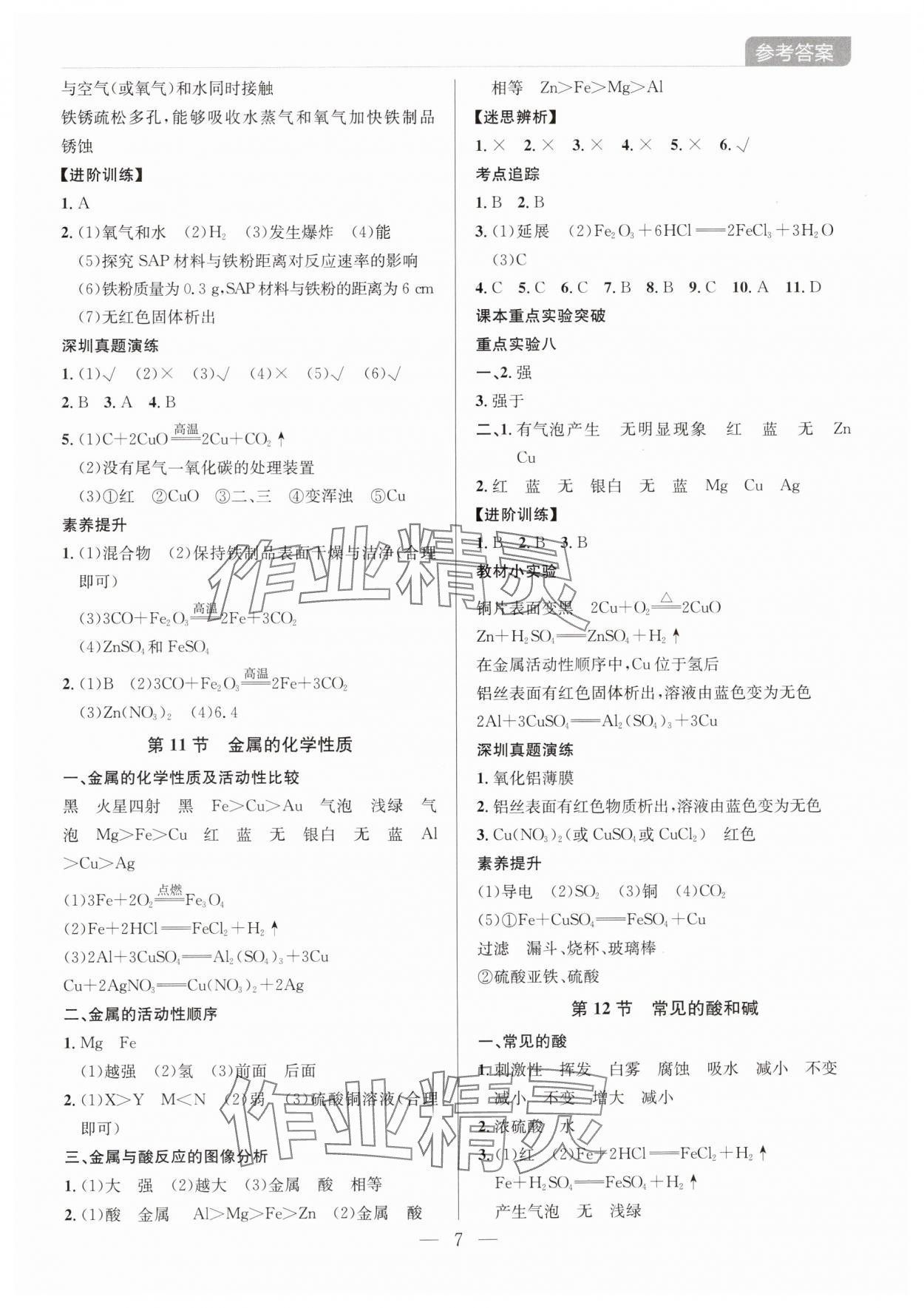 2025年廣東名師講練通中考總復習化學深圳專版 第7頁