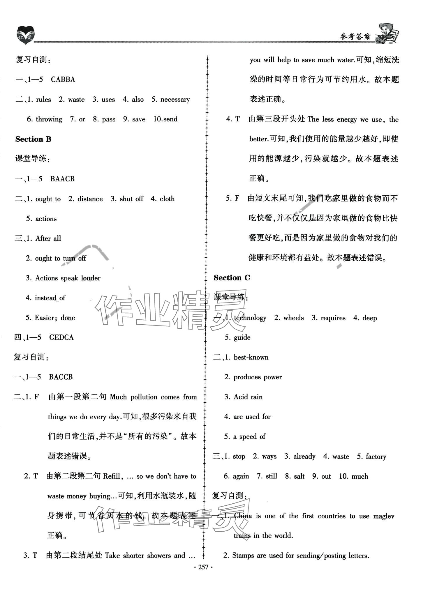 2024年仁爱英语同步学案九年级全一册仁爱版 第31页