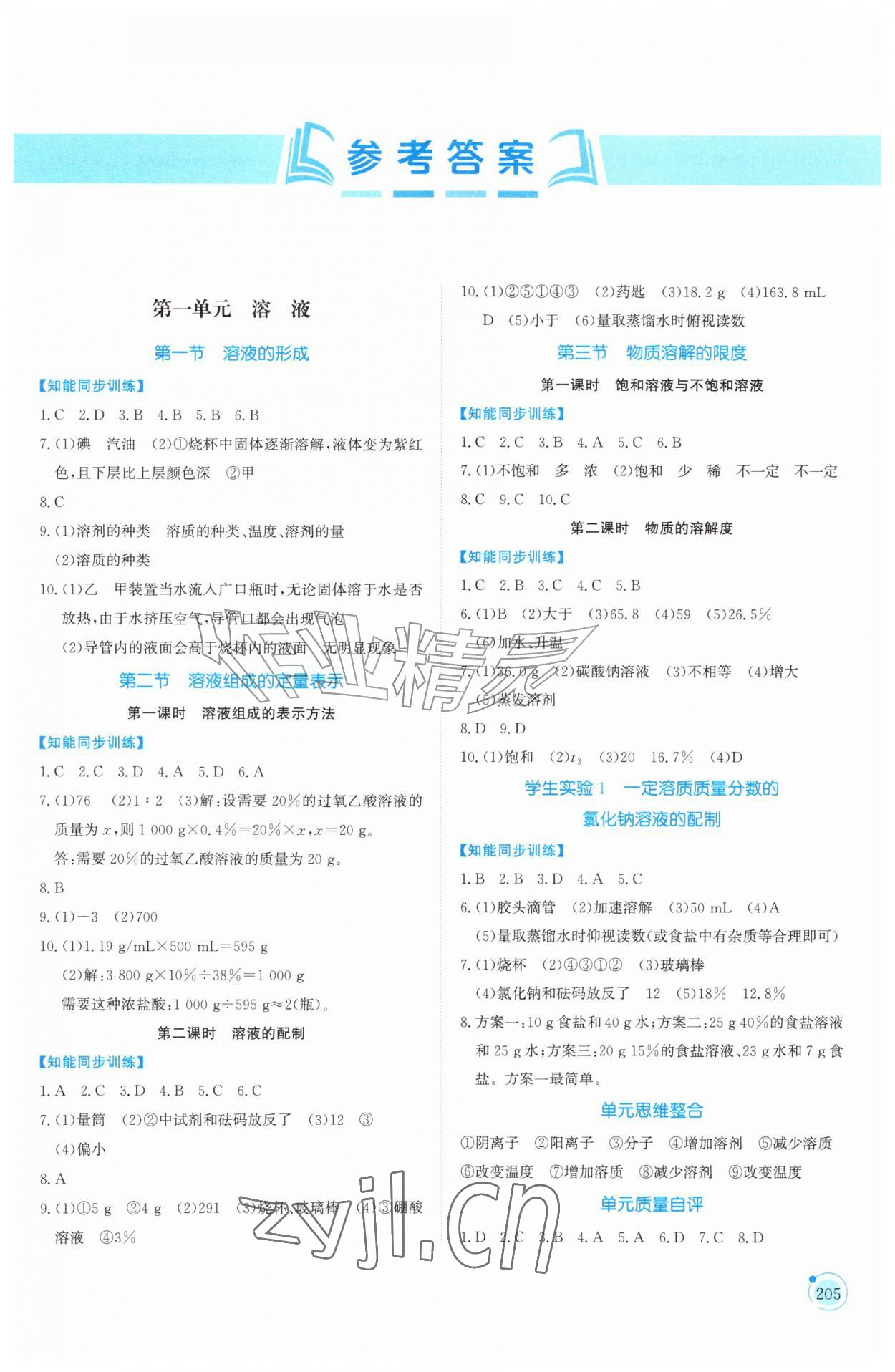2026年同步练习册山东科学技术出版社九年级化学全一册鲁教版五四制&nbsp;第1页