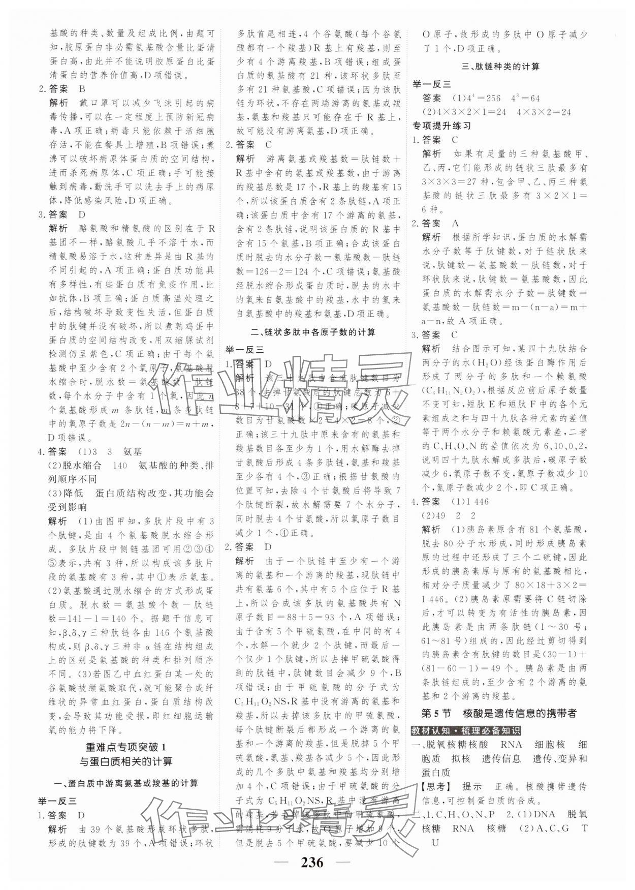 2023年高考調(diào)研衡水重點(diǎn)中學(xué)新教材同步學(xué)案高中生物必修1人教版 第6頁