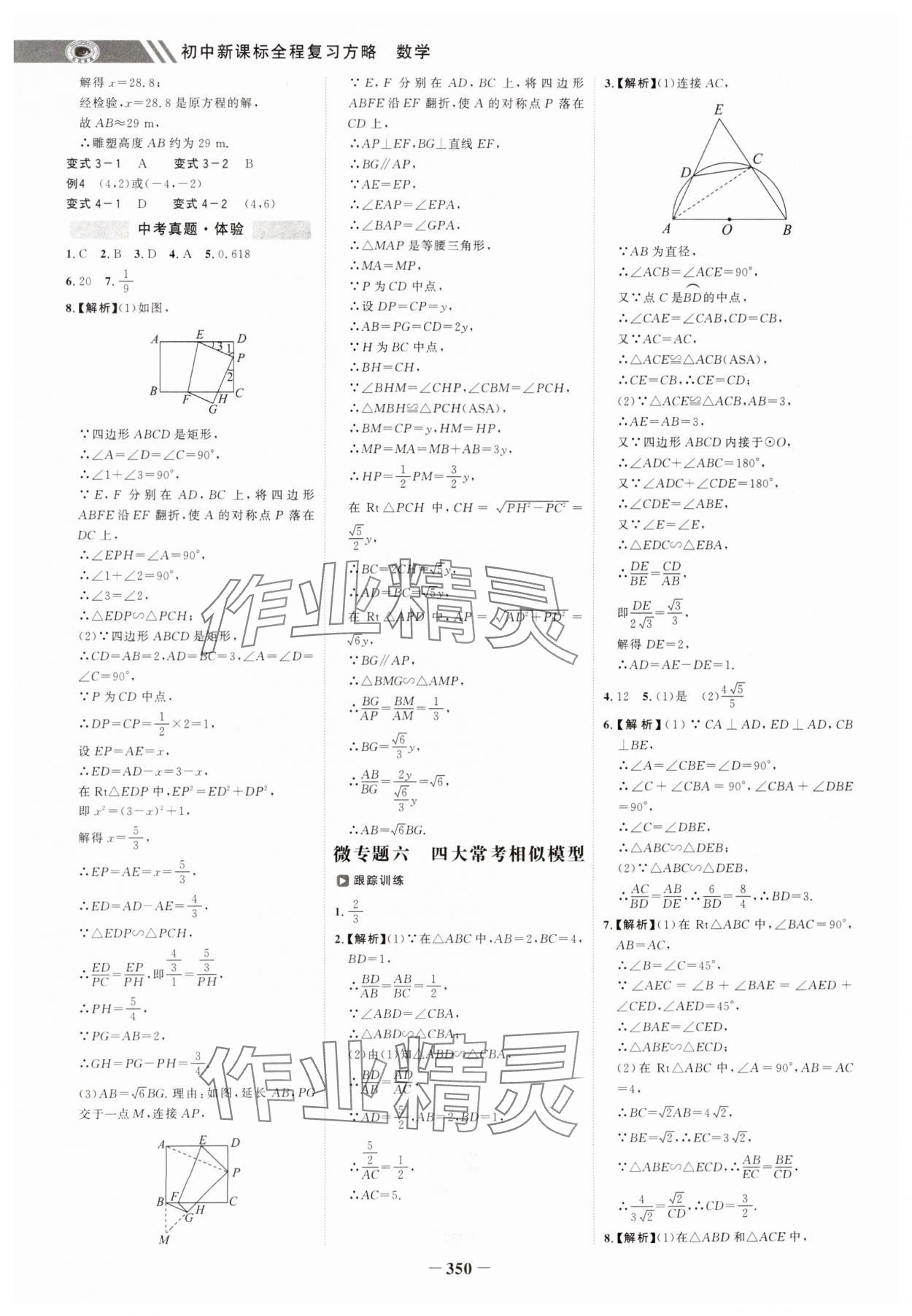 2025年世紀(jì)金榜初中全程復(fù)習(xí)方略數(shù)學(xué) 第14頁