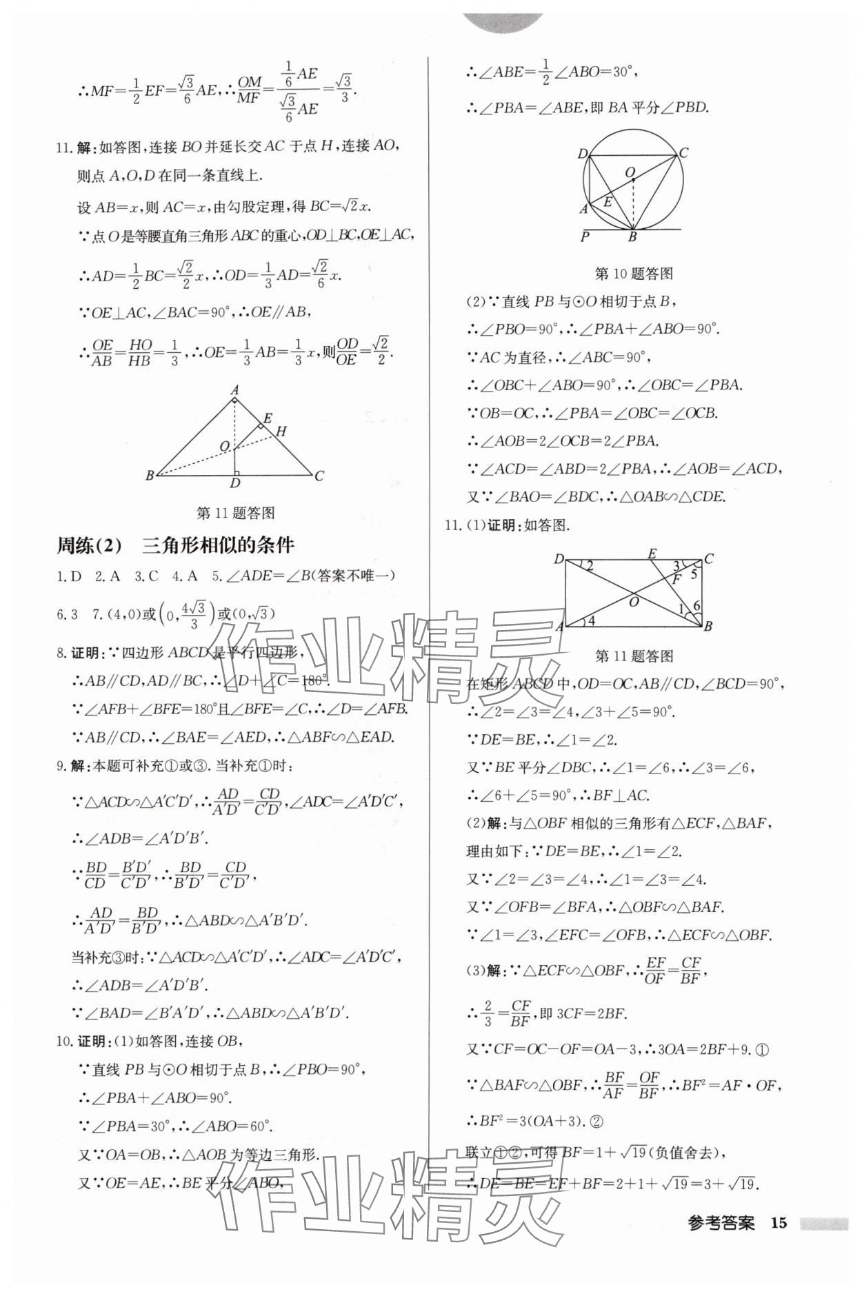 2024年启东中学作业本九年级数学下册苏科版盐城专版 参考答案第15页